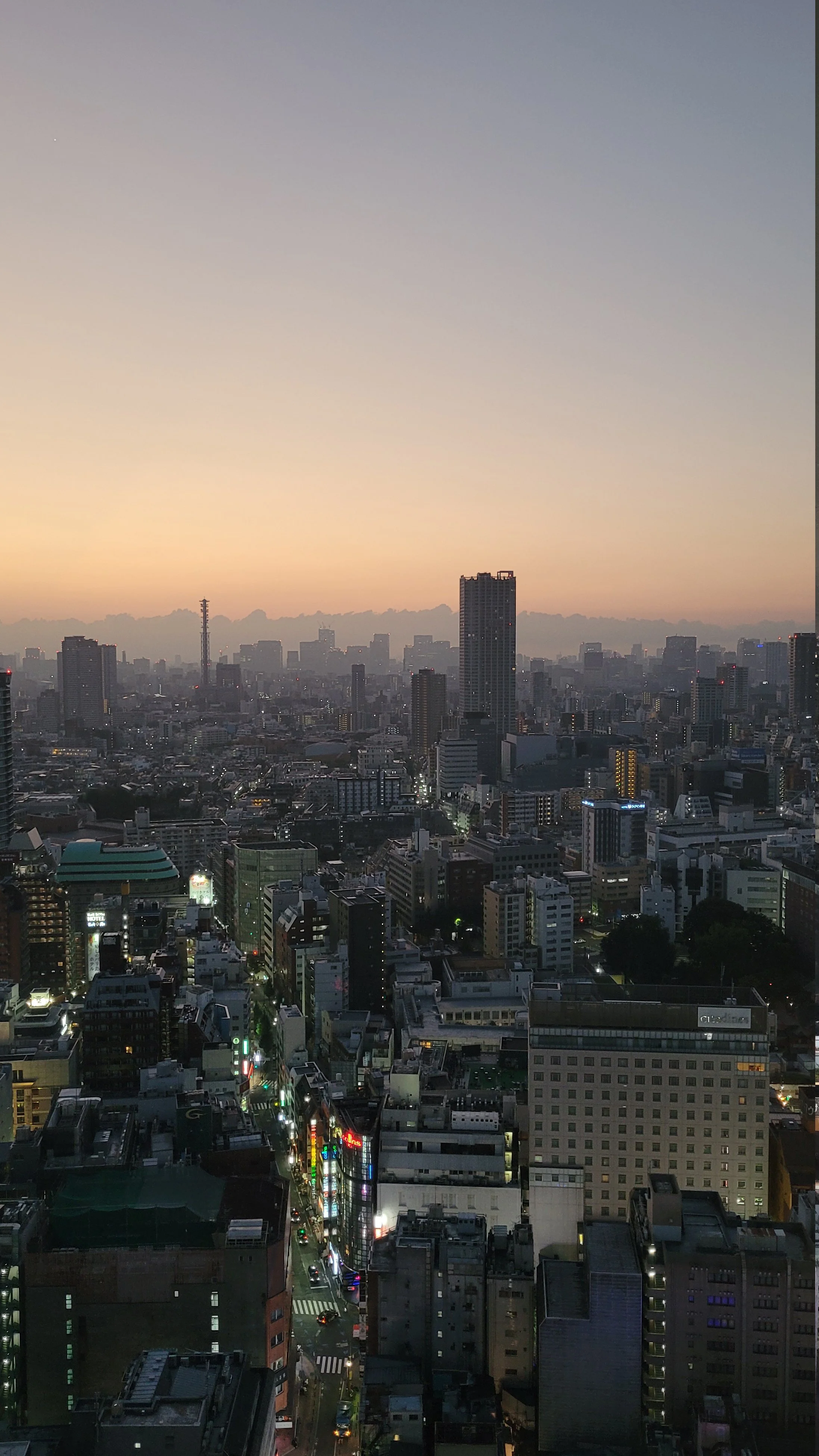 f couret phoography tokyo (28).jpg