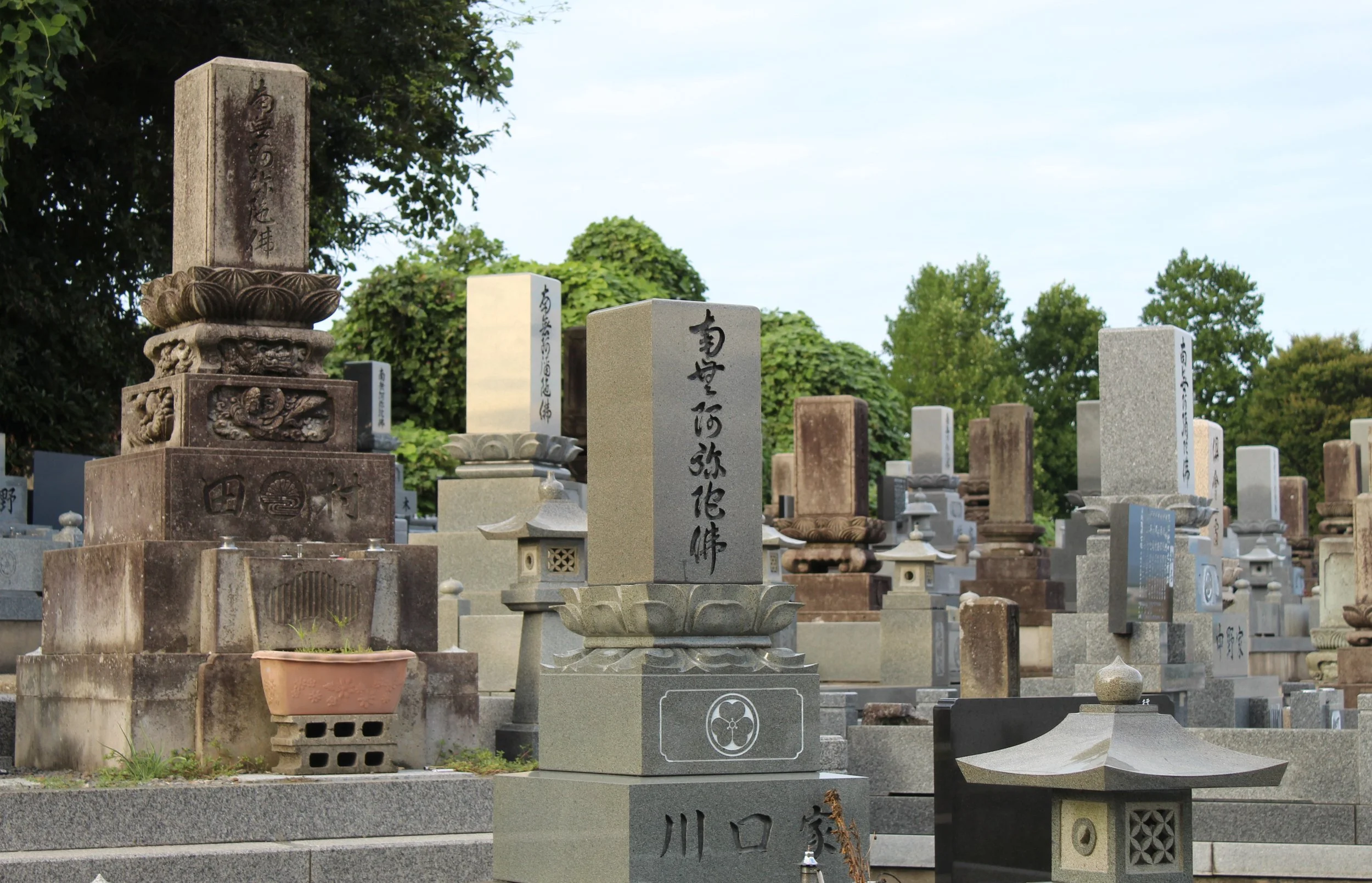 f couret phoography kaga (11).JPG