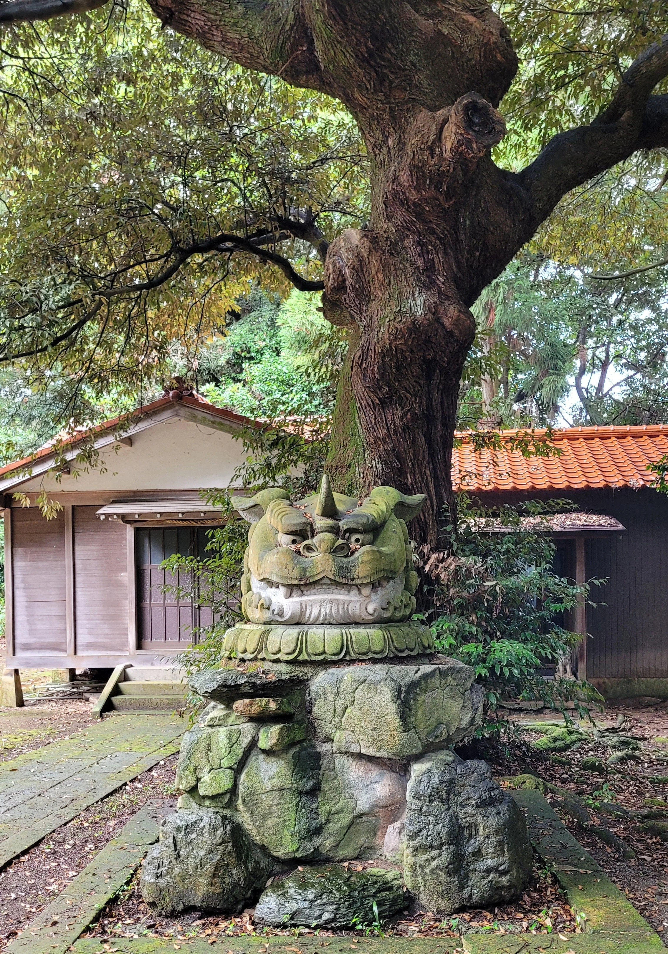 f couret phoography kaga (5).jpg