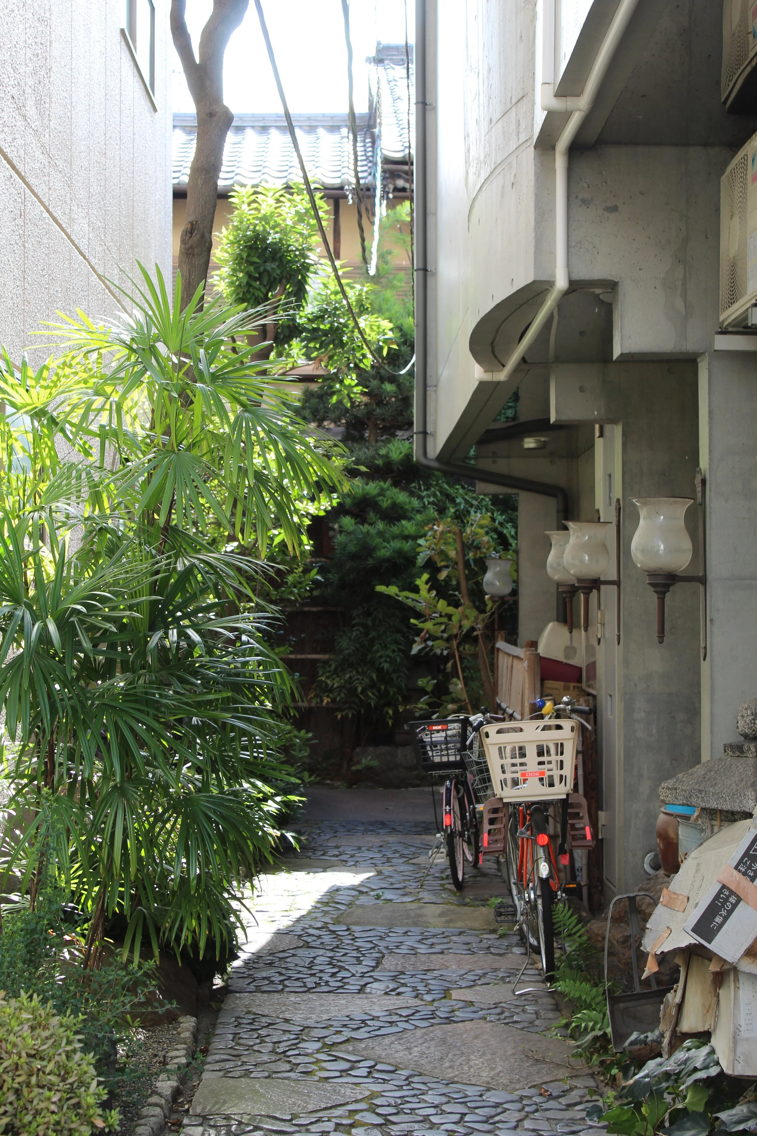f couret phoography kyoto (15).JPG