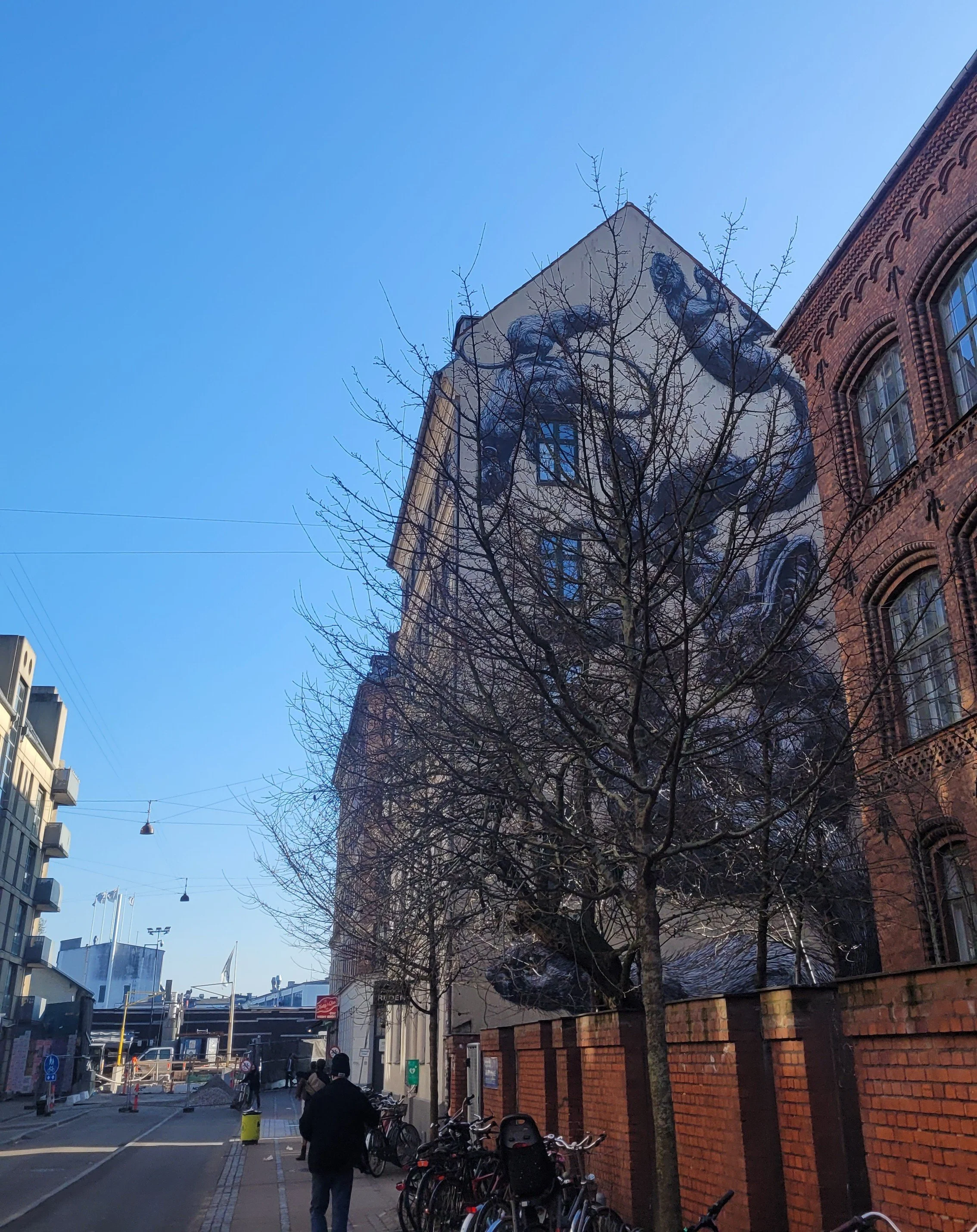 f couret København 2025 (47).jpg