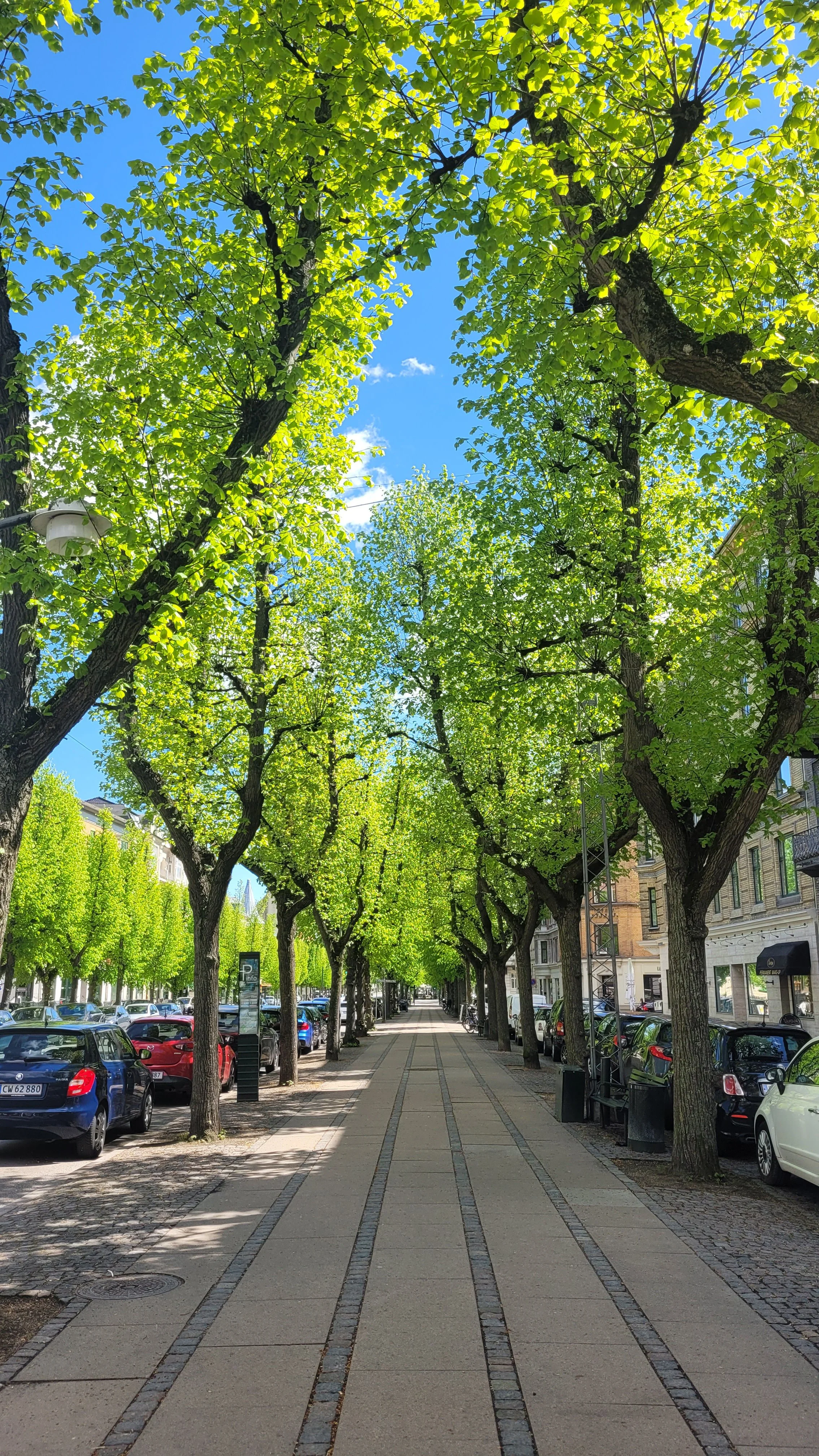 f couret København 2025 (56).jpg