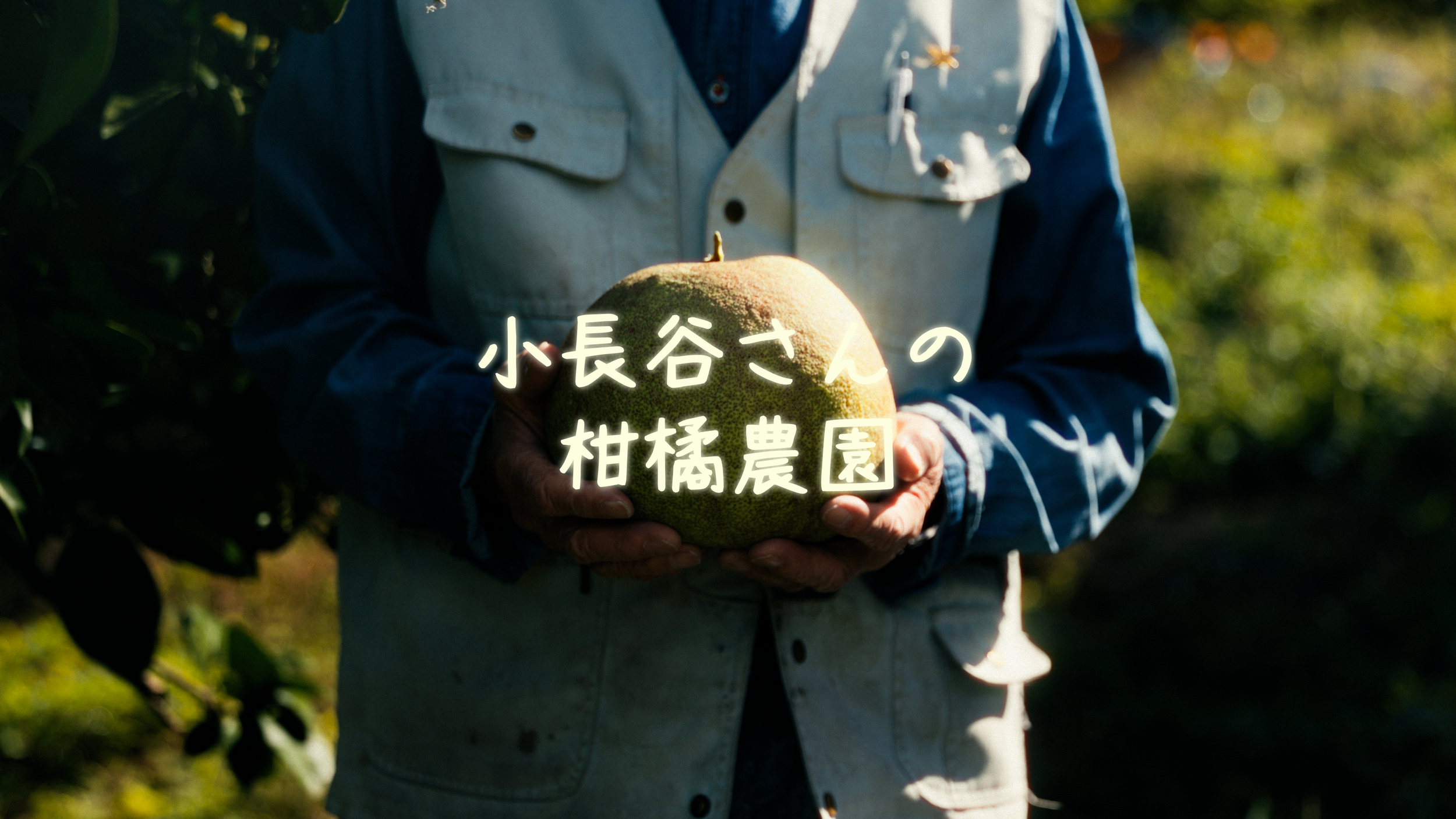 Japanese Citrus Farmer Documentary