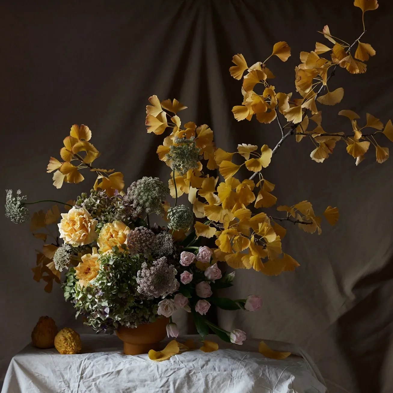 Ginkgo Biloba, a 'living fossil' 

Some fun facts about her..

✨ Known as a 'living fossil', Ginkgo is THE oldest living tree species. She hung out with the Dinosaurs and has been a crowd favourite for over 200 million years.

✨ She symbolises hope, 