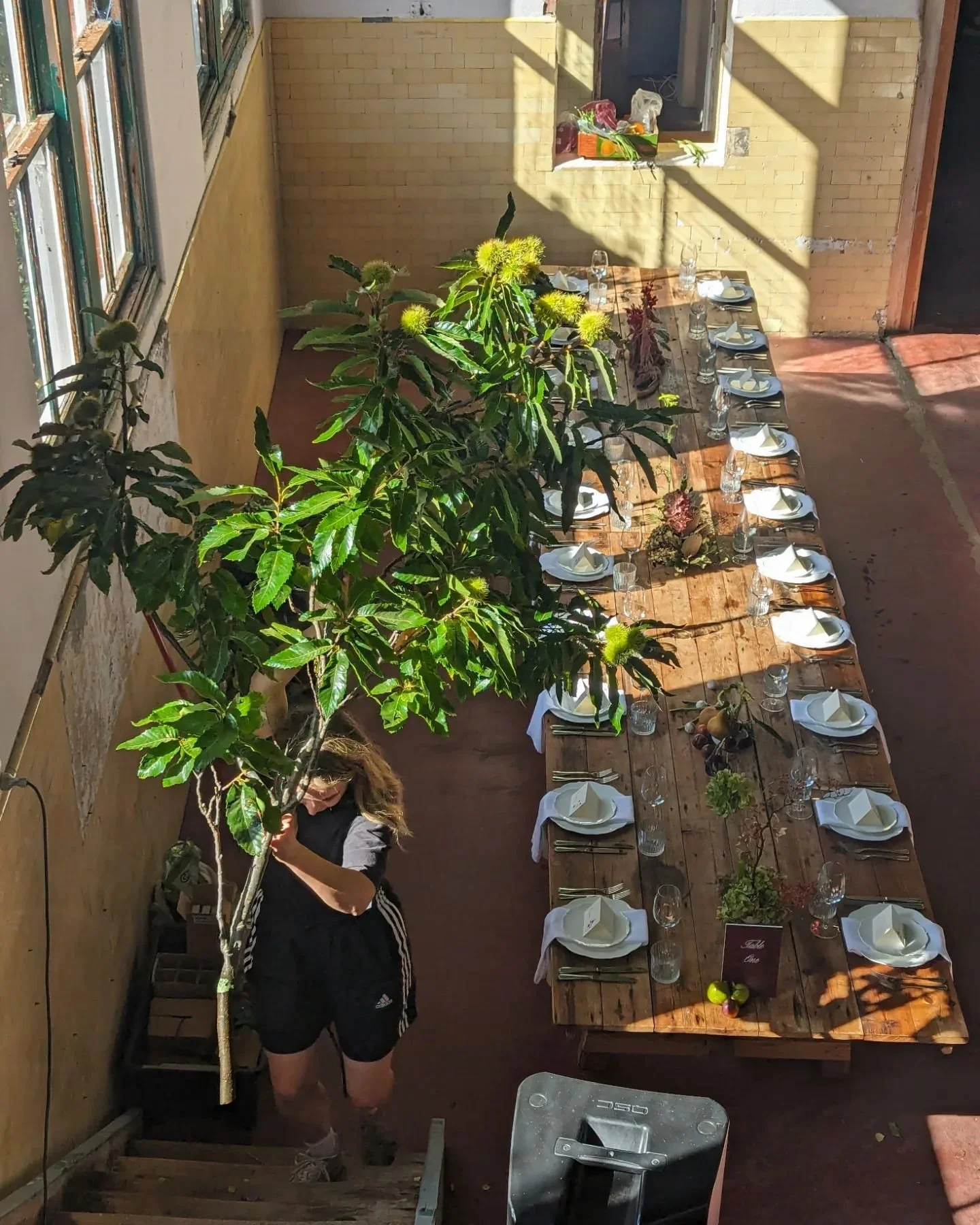 Scenes from @butterland_

Install moments with @_dawnflora and the most stunning branches from @greghatton 

An @anatomyofflowers and @_bowcreative wedding ✨

#butterland #weddinginstallation #weddingflorist