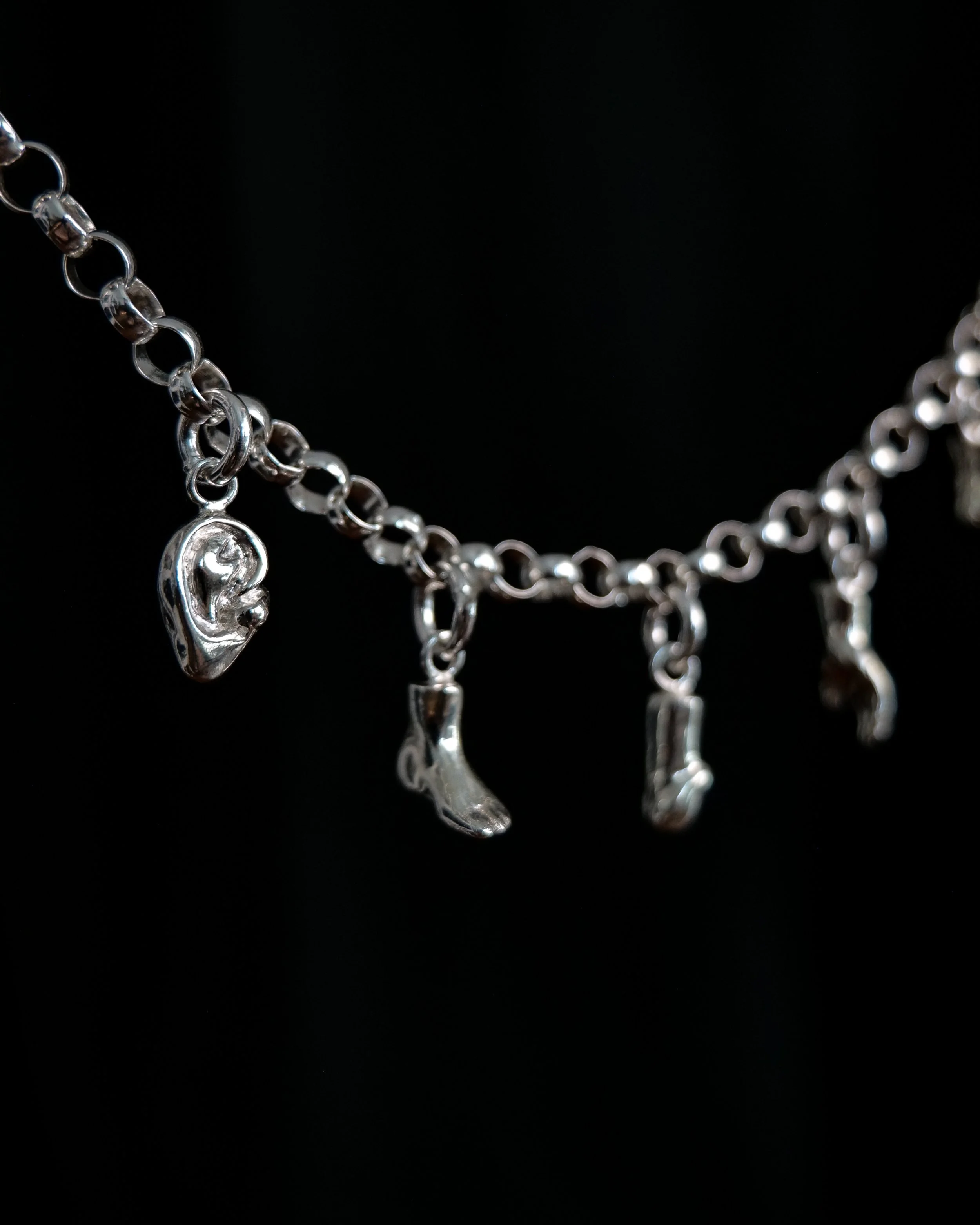 P1186422.jpg