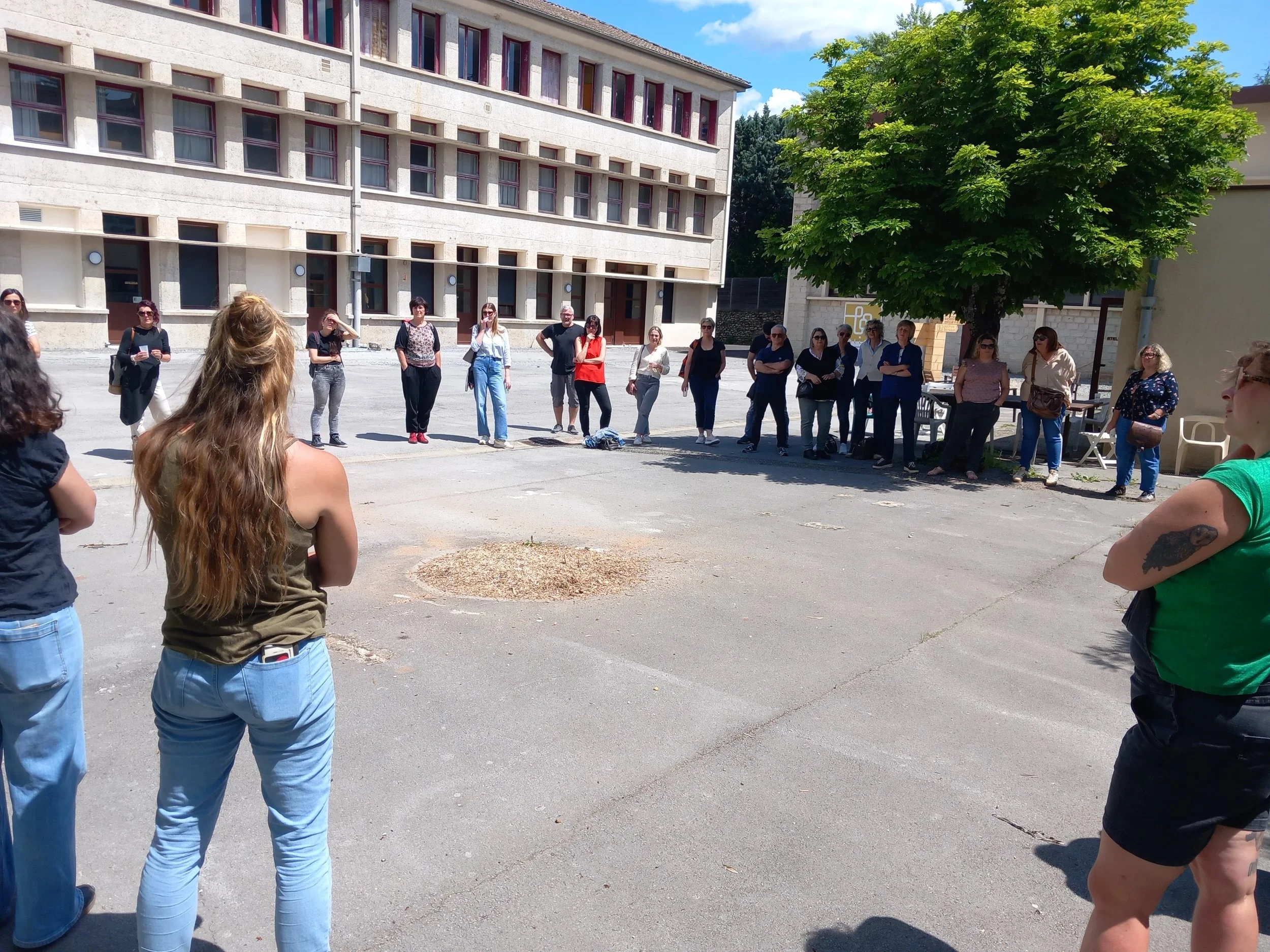 Groupe de personnes formant un cercle dans une cour extérieure sous un arbre, en pleine journée ensoleillée.