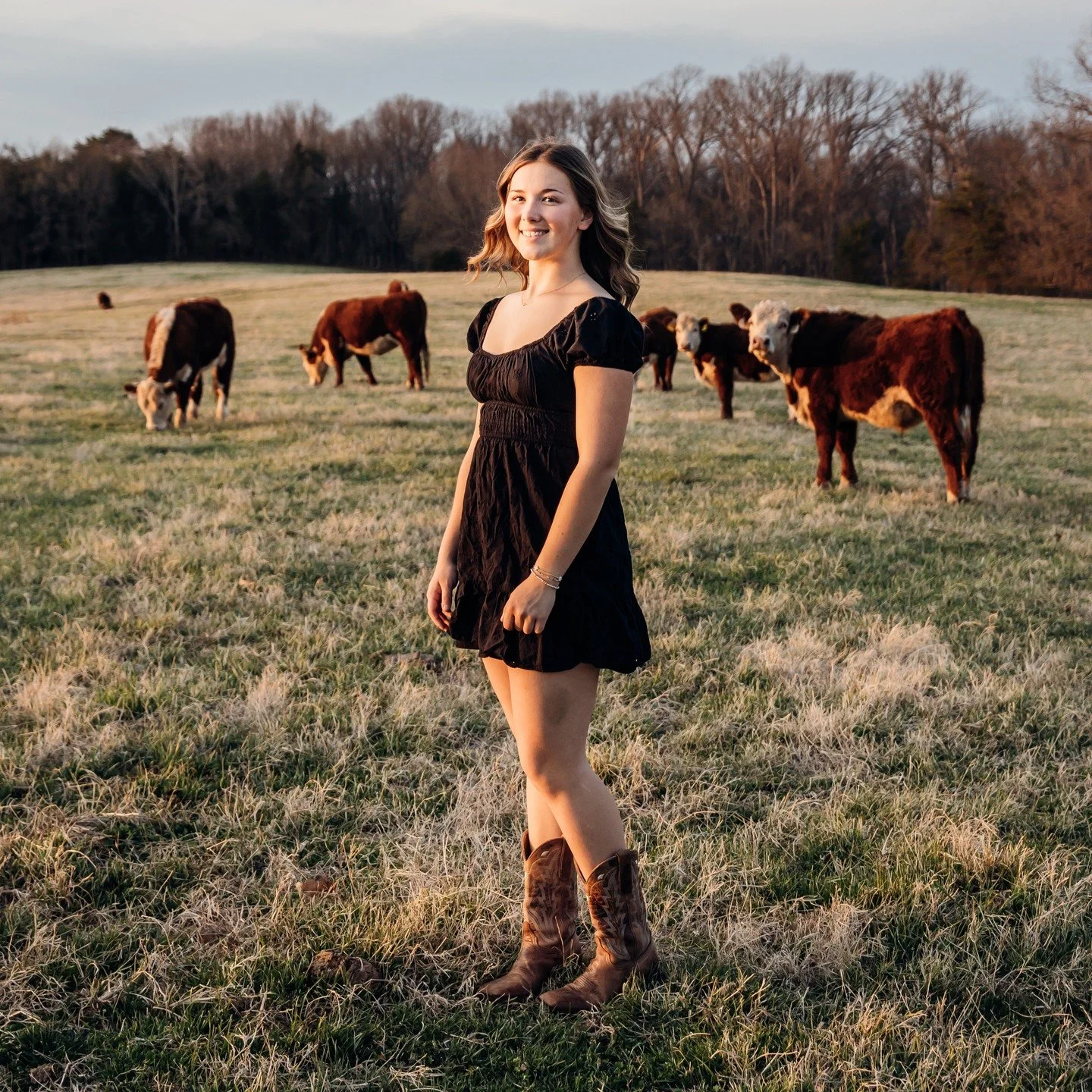 Sunset + Cows, does it get any better than this?