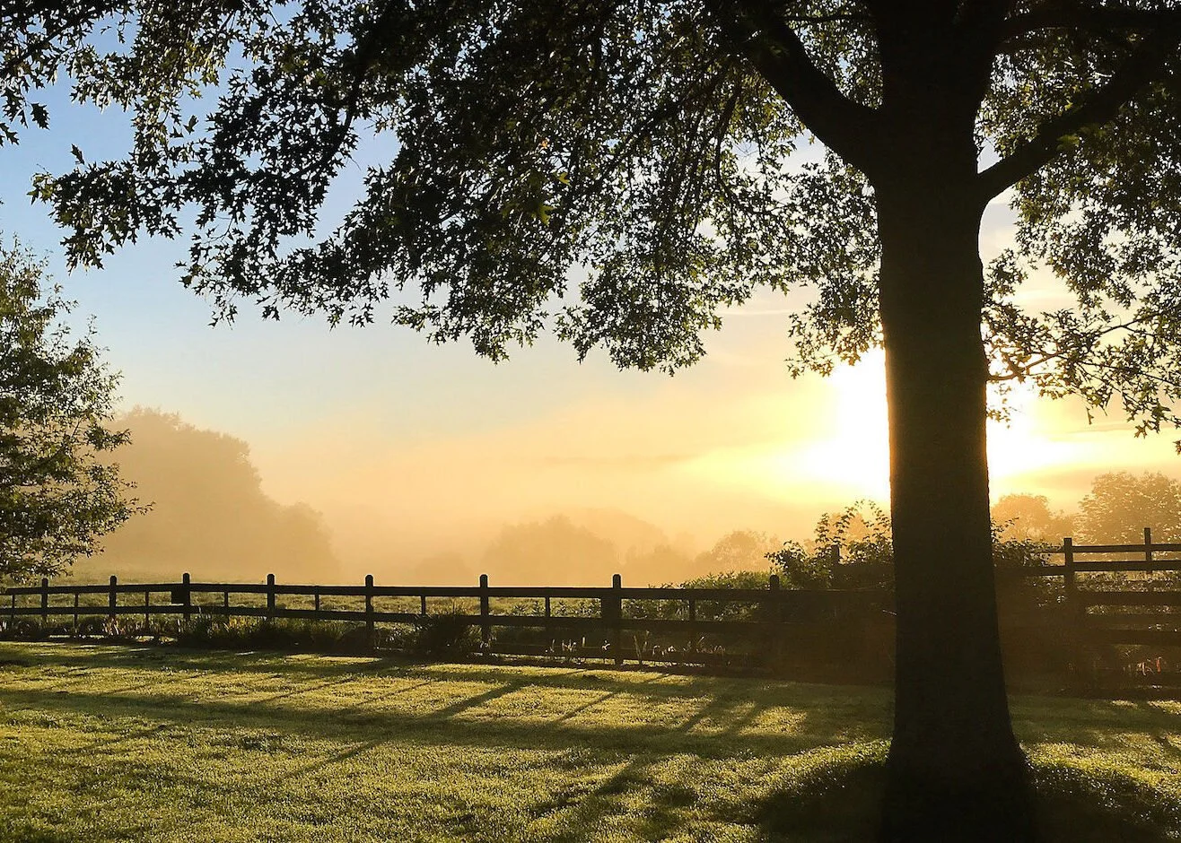 Uplands Writing Retreat (Nonfiction)