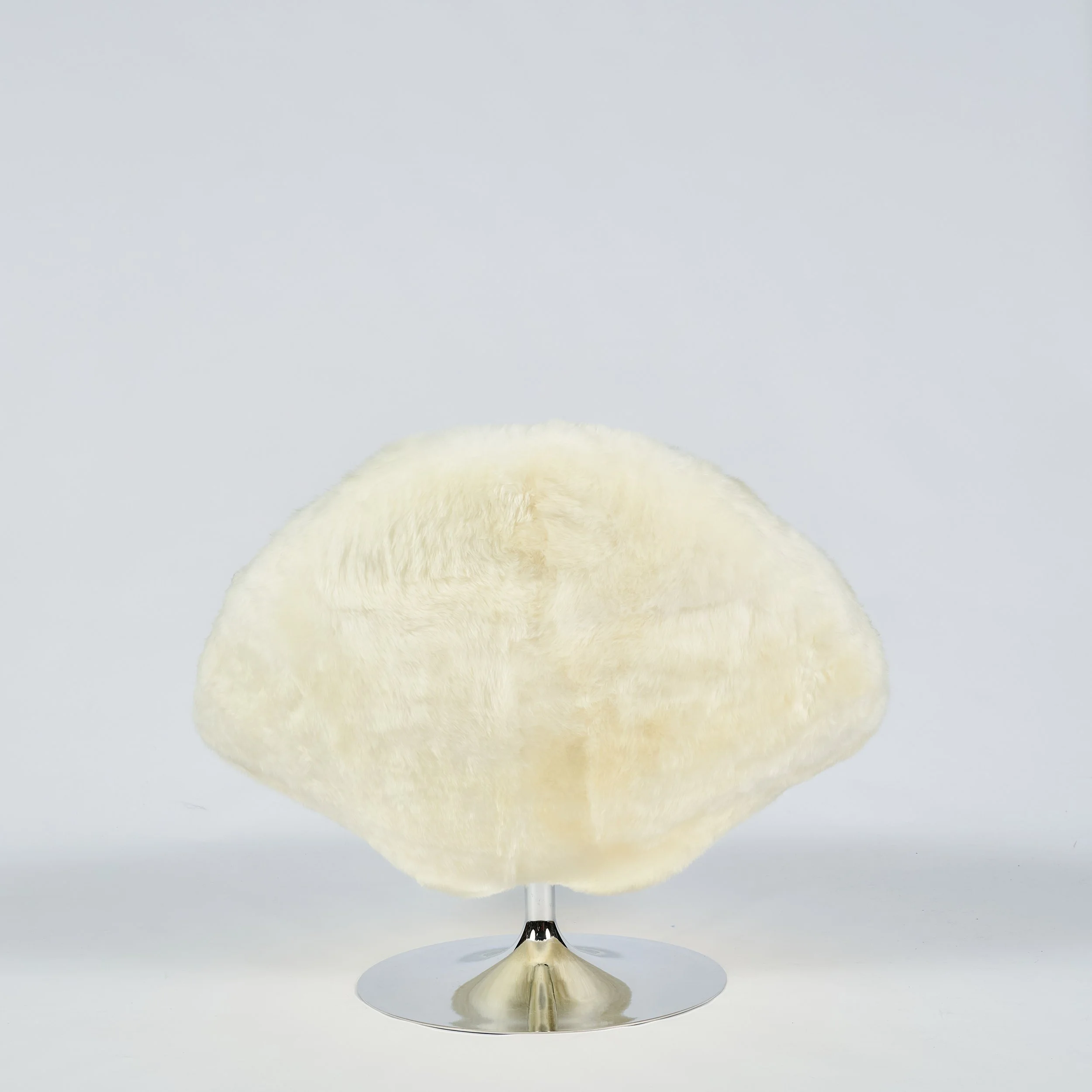 2026_01_12-AP- 61.jpg