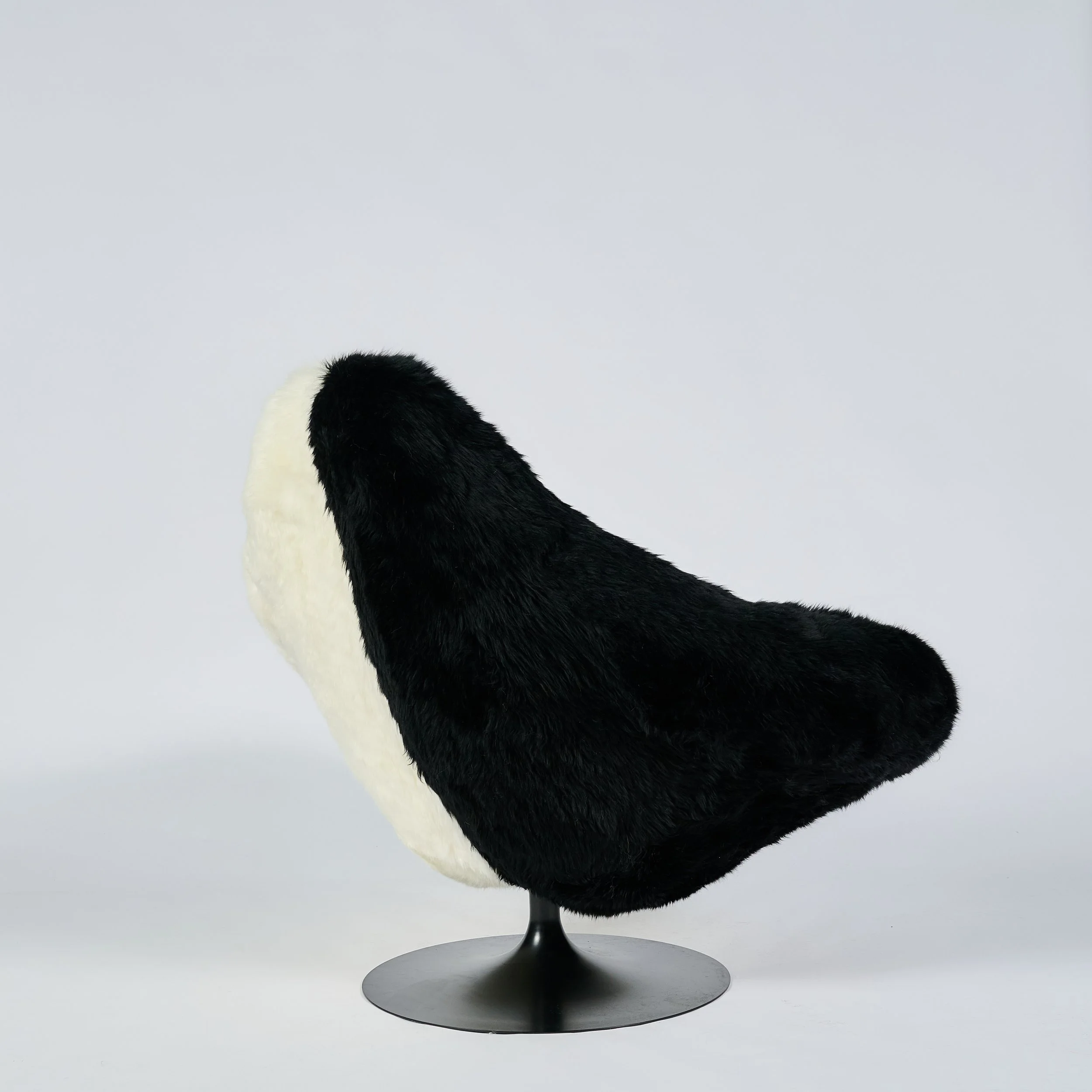 2026_01_12-AP- 5.jpg