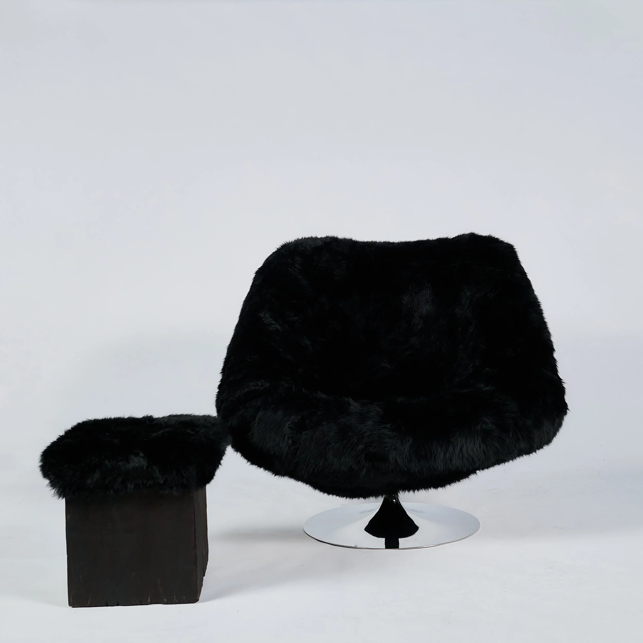 2026_01_12-AP- 88.jpg