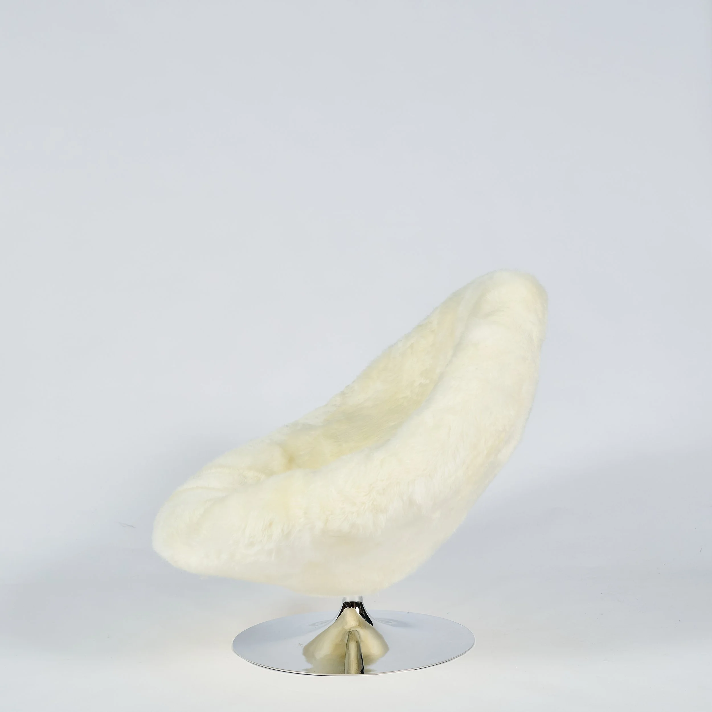 2026_01_12-AP- 59.jpg