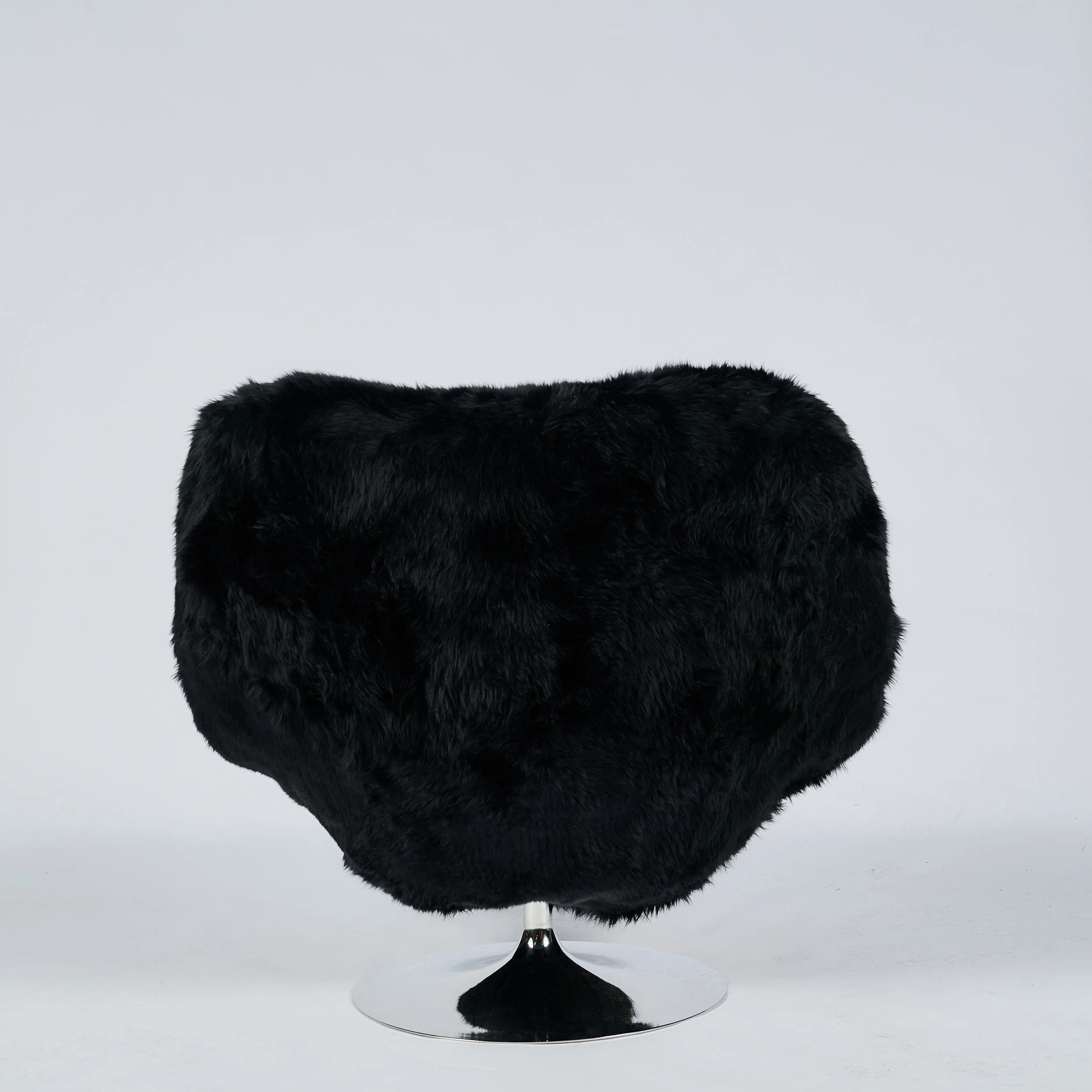 2026_01_12-AP- 83.jpg