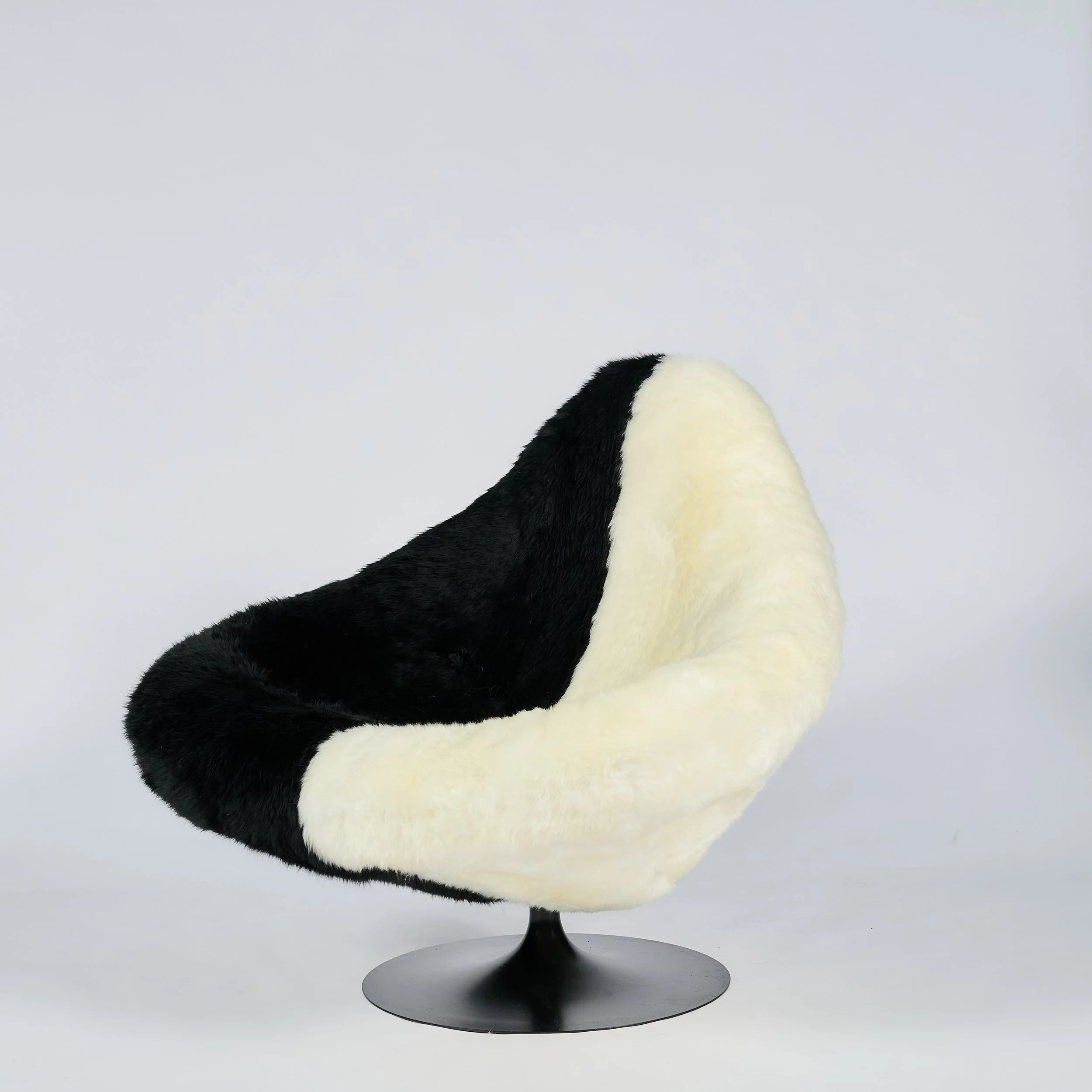 2026_01_12-AP- 1.jpg