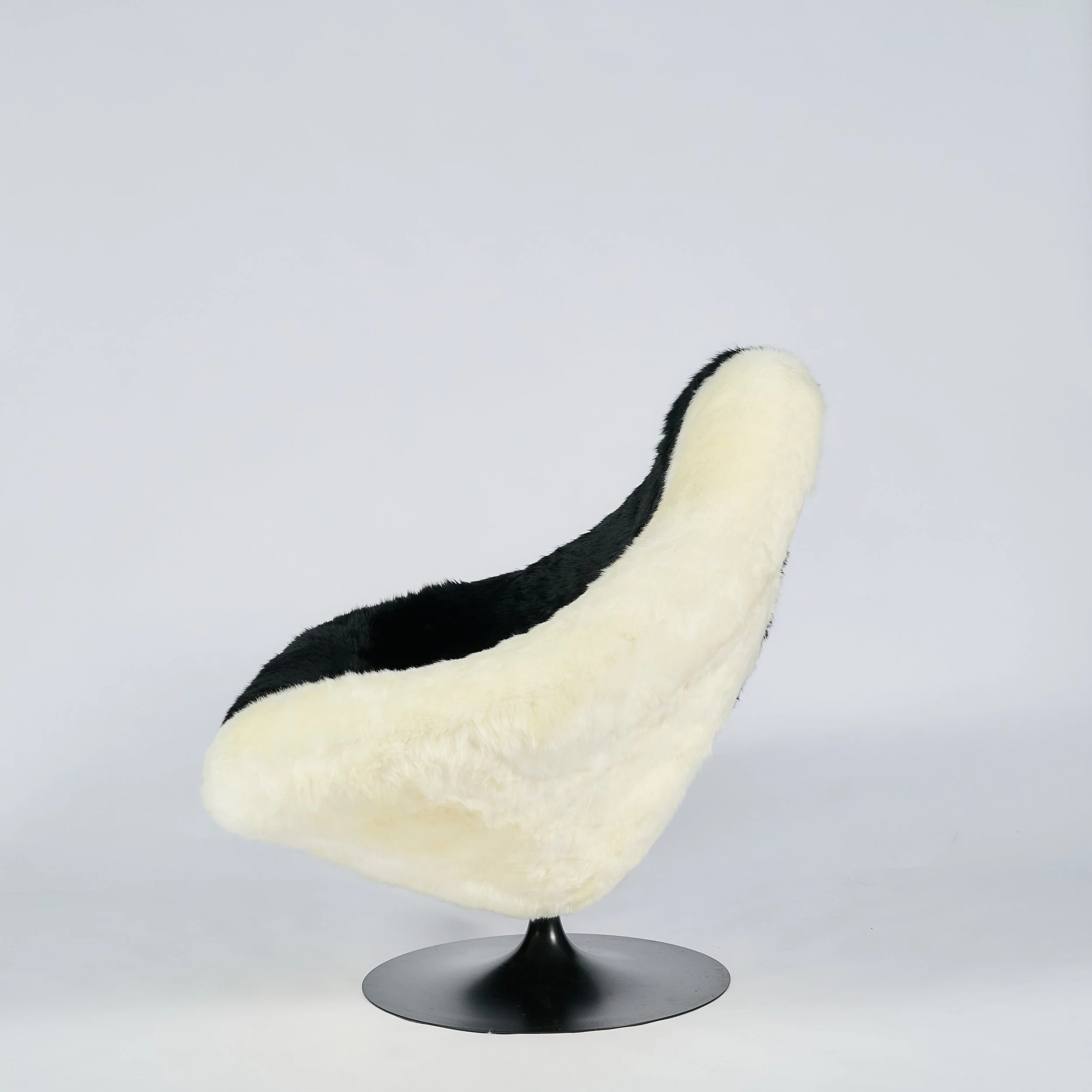 2026_01_12-AP- 2.jpg