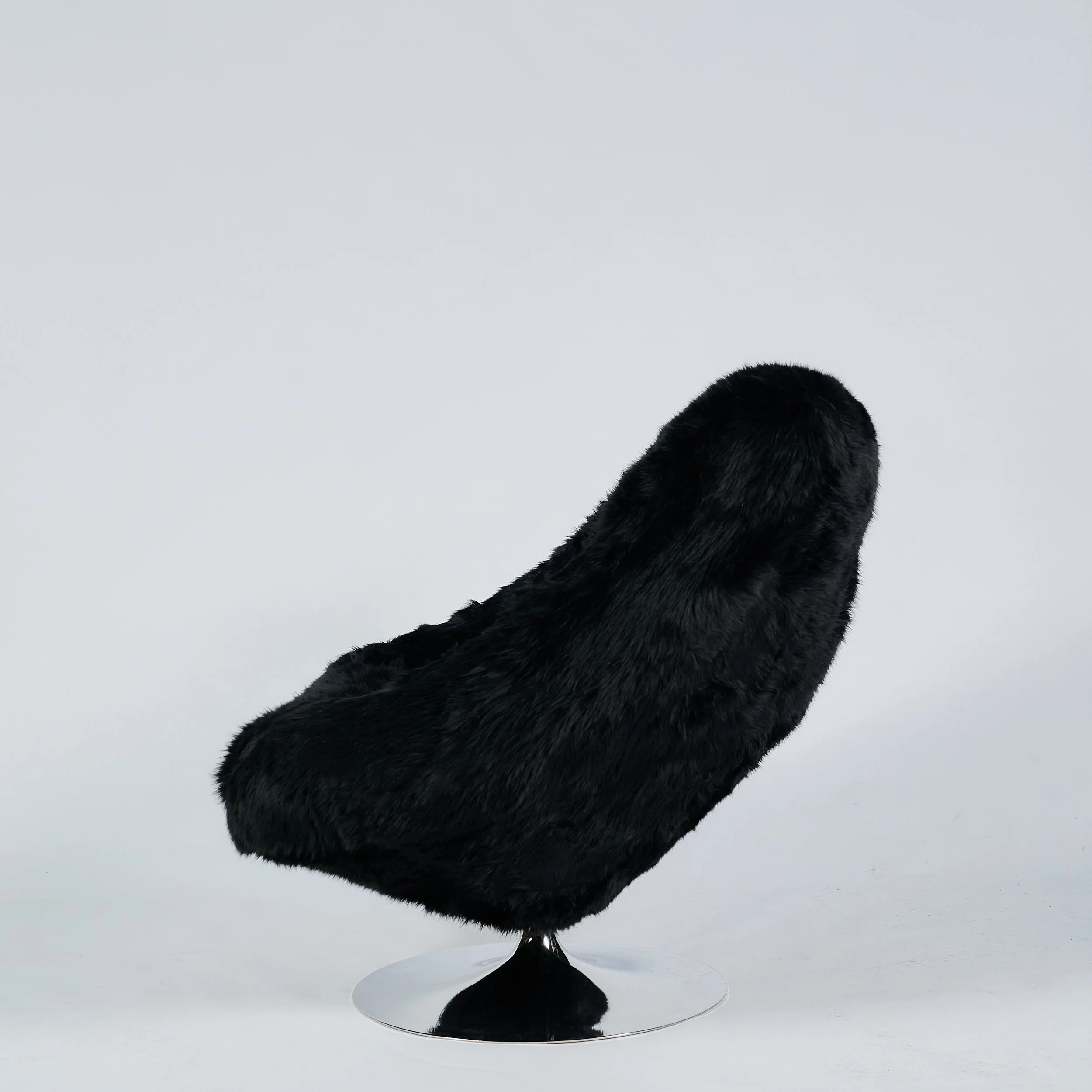 2026_01_12-AP- 85.jpg