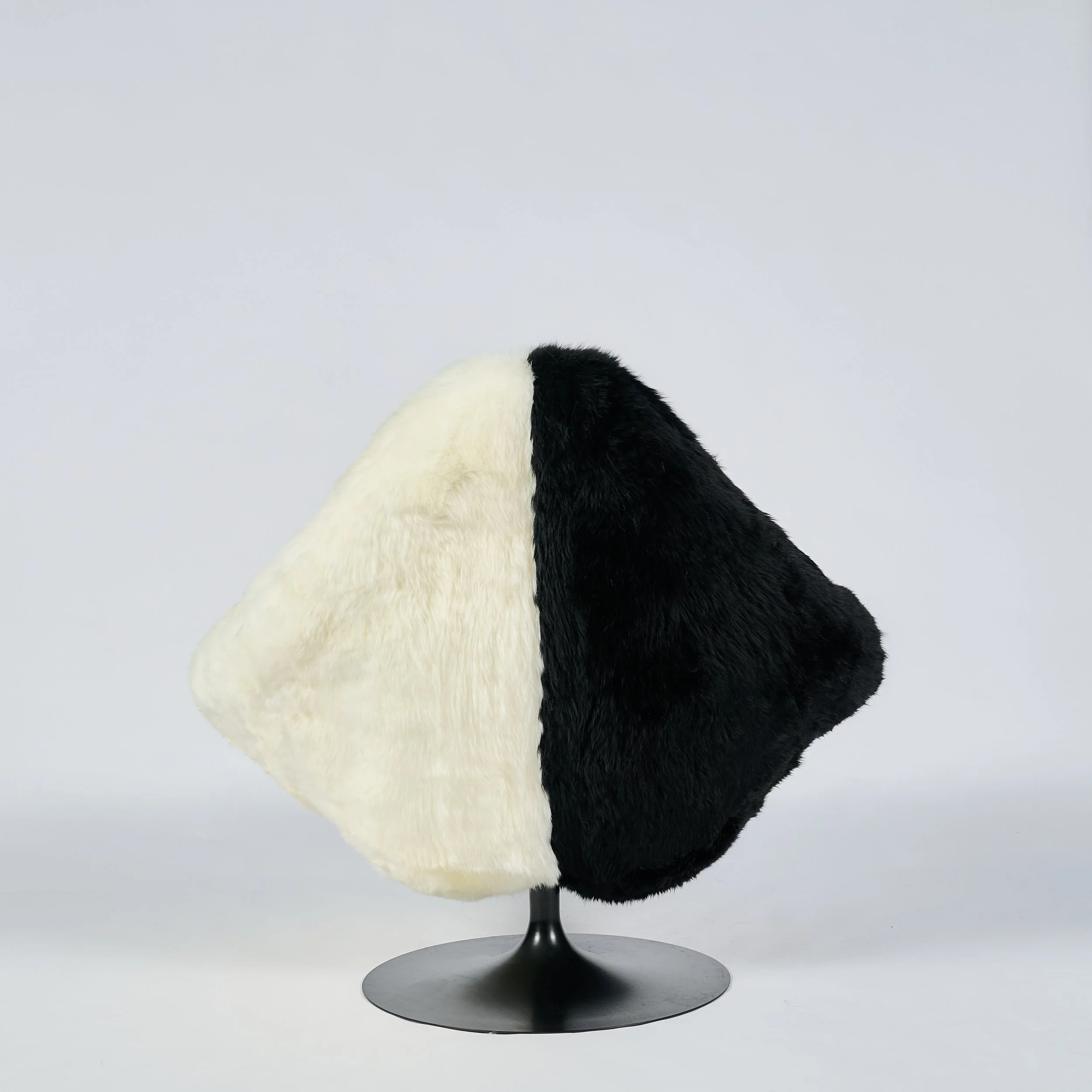 2026_01_12-AP- 4.jpg