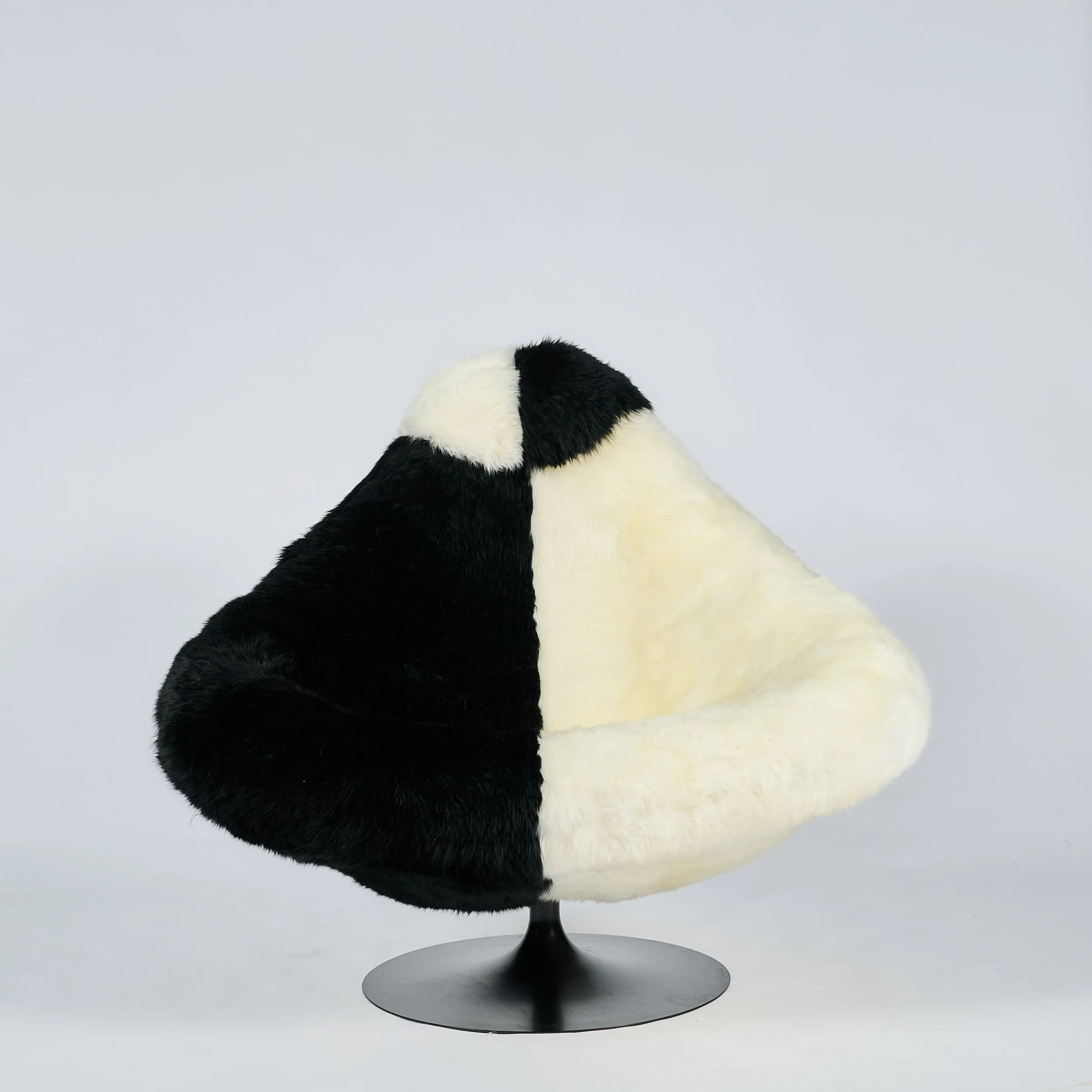 2026_01_12-AP- 8.jpg