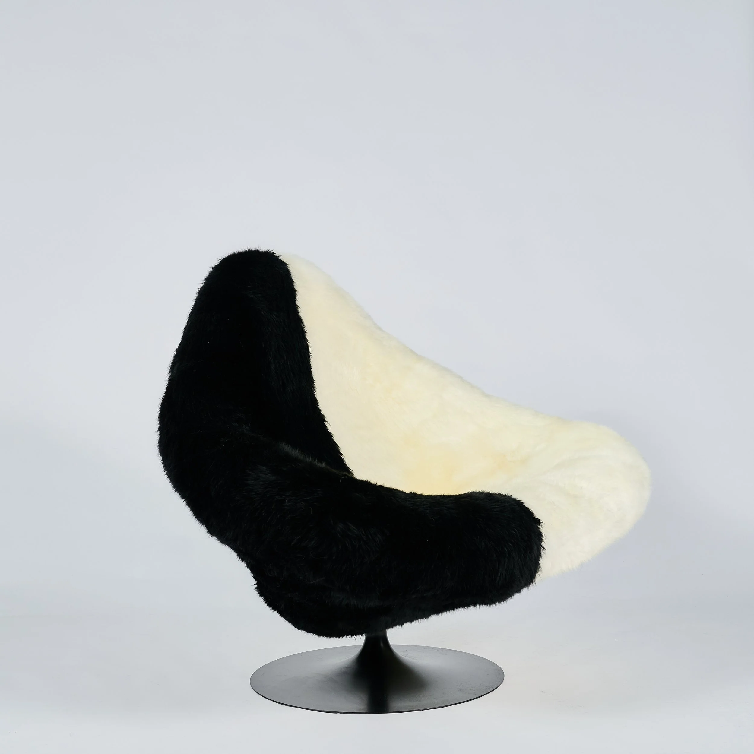 2026_01_12-AP- 7.jpg