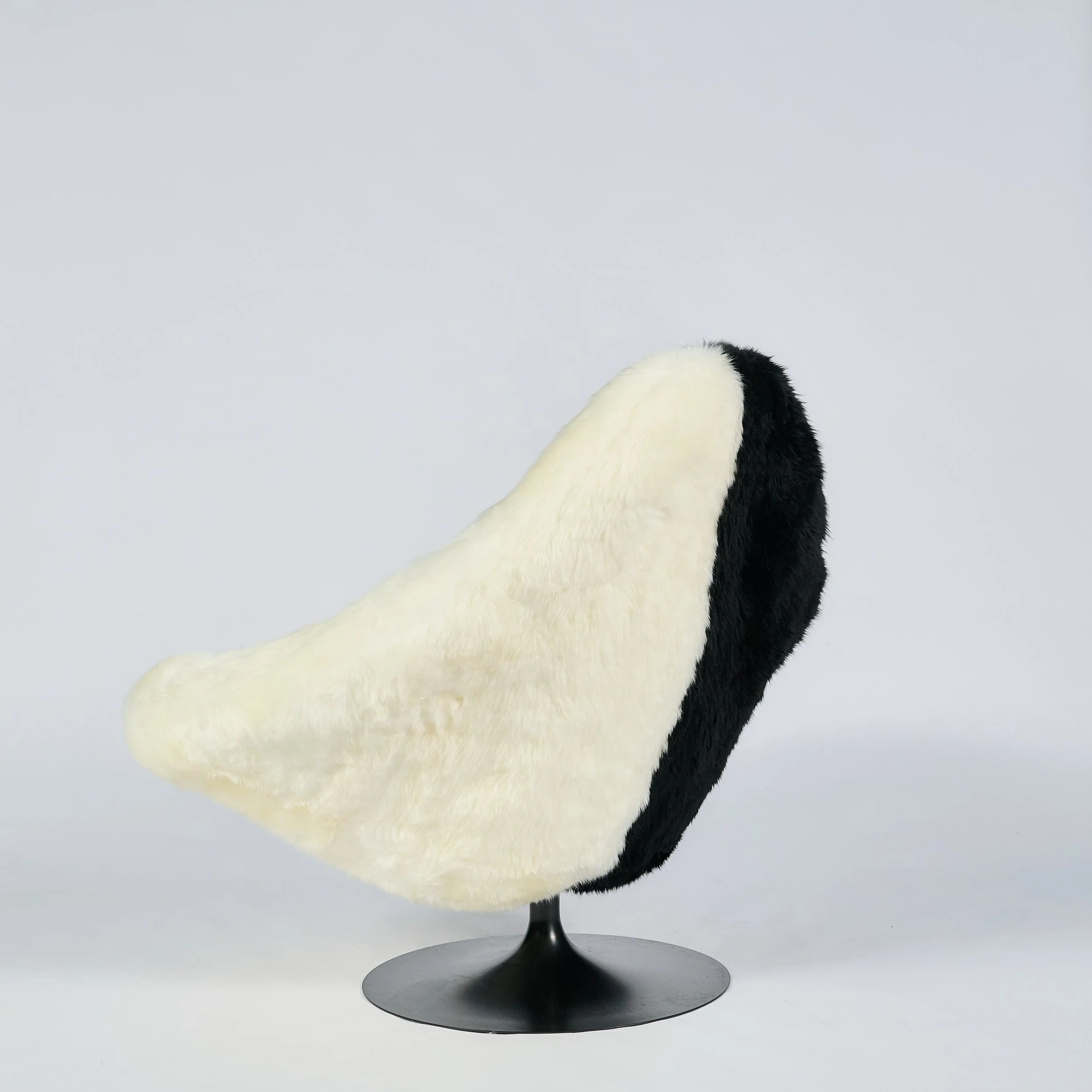 2026_01_12-AP- 3.jpg