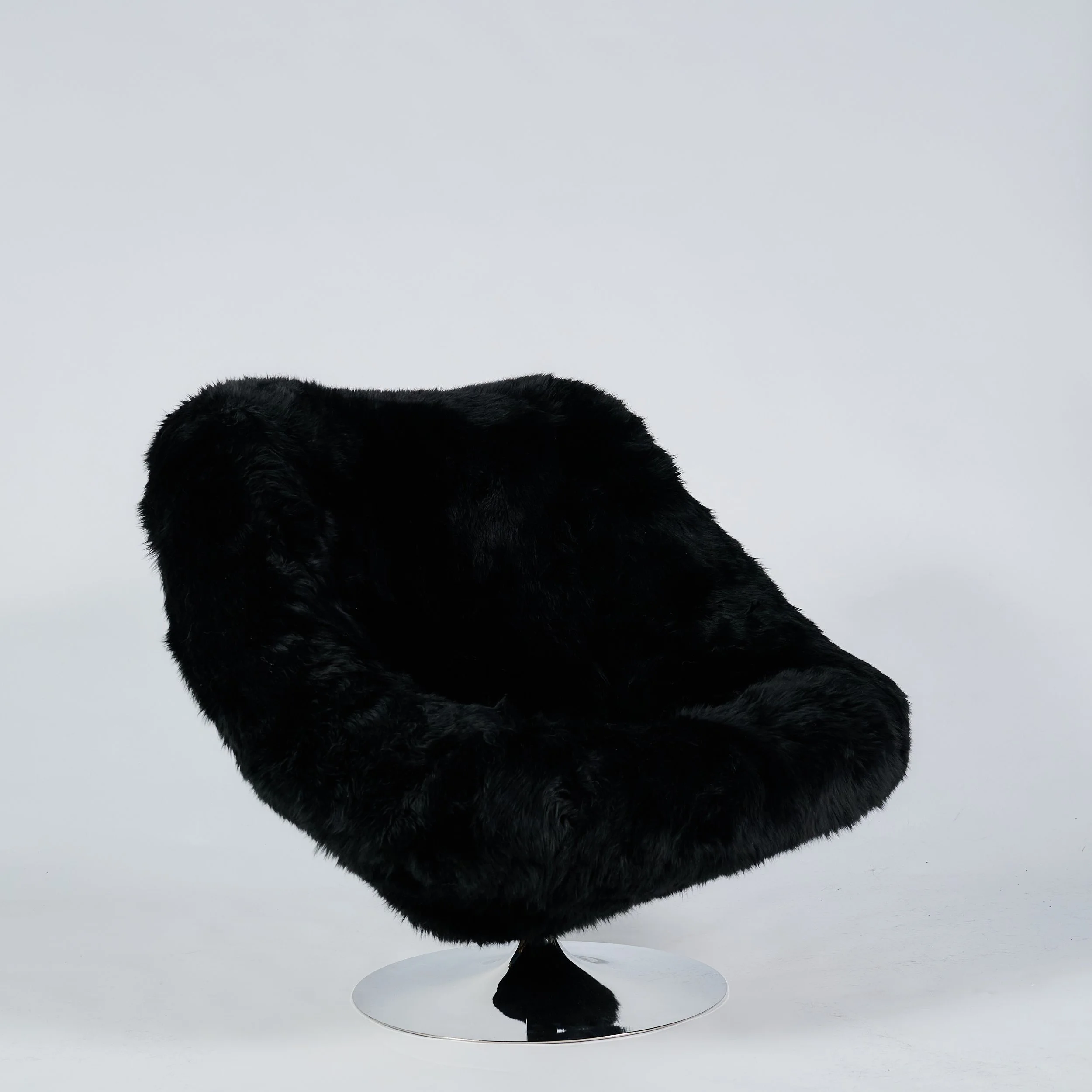 2026_01_12-AP- 80.jpg