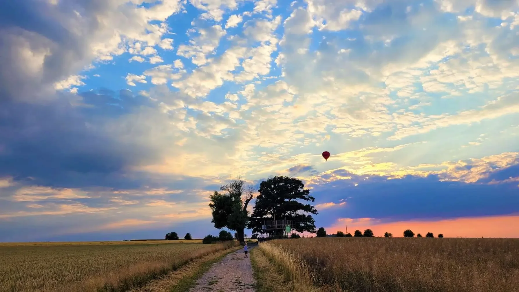 „Wo ich Dich seh, da ist Heimat: Unsere Babisnauer Pappel!“