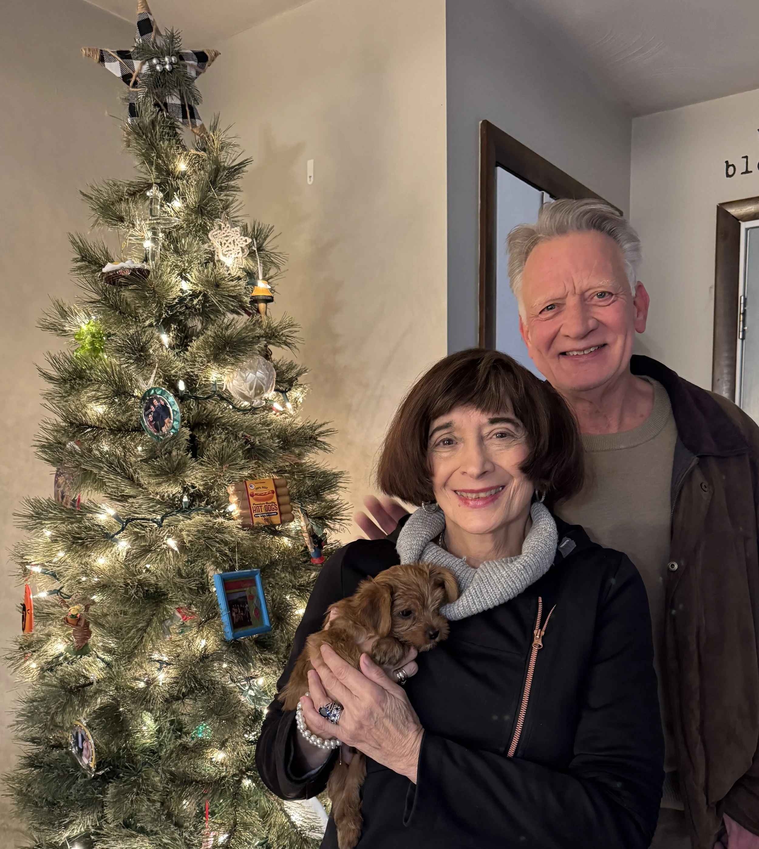  First Puppy Finds a Forever Home