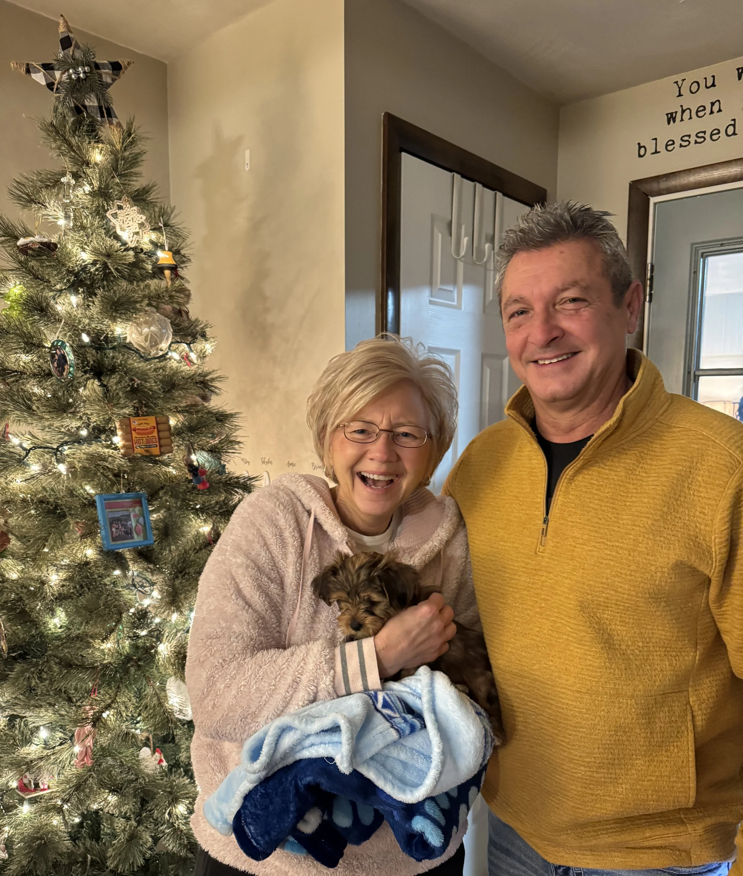 Second Puppy Finds a Forever Home