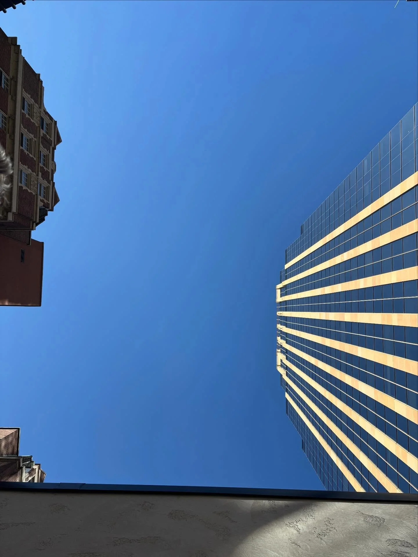 And then sometimes my job is leading post lunch outdoor yin yoga with this legs up the wall view with a bunch of totally inspiring and badass women at their WIRED mini retreat 🩵💙🩵

Resting is not quitting 
Look all the way up

@cvlovesmn @sara_mos