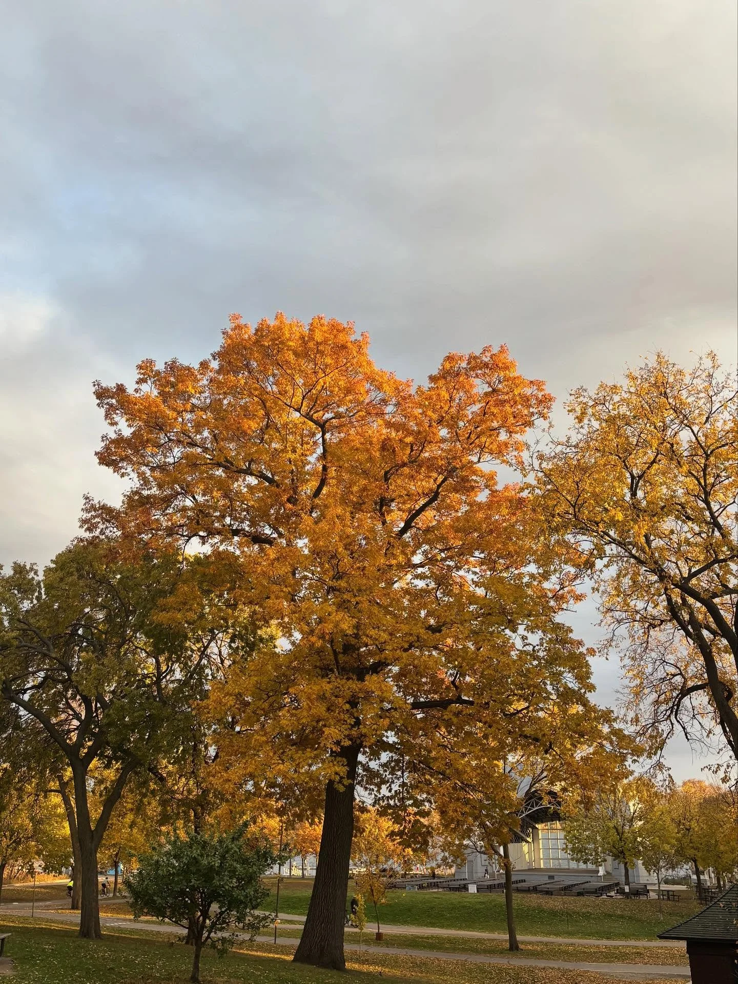 💛🧡💛🧡💛🧡💛🧡