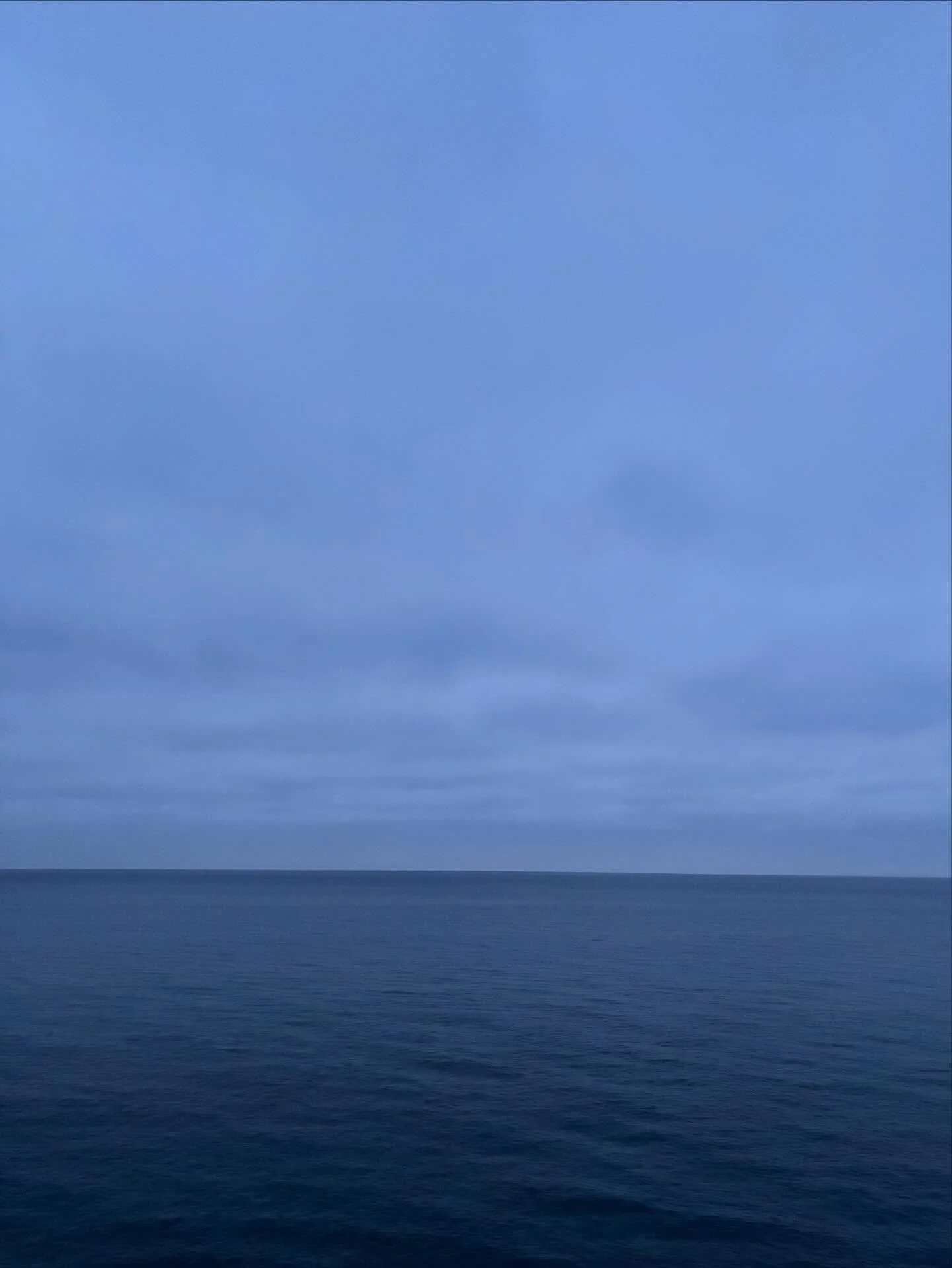 Red and green yes, but also so much blue this season. So much expansive blue. Above, underneath, deep inside, its own beauty. 🩵💙🩵