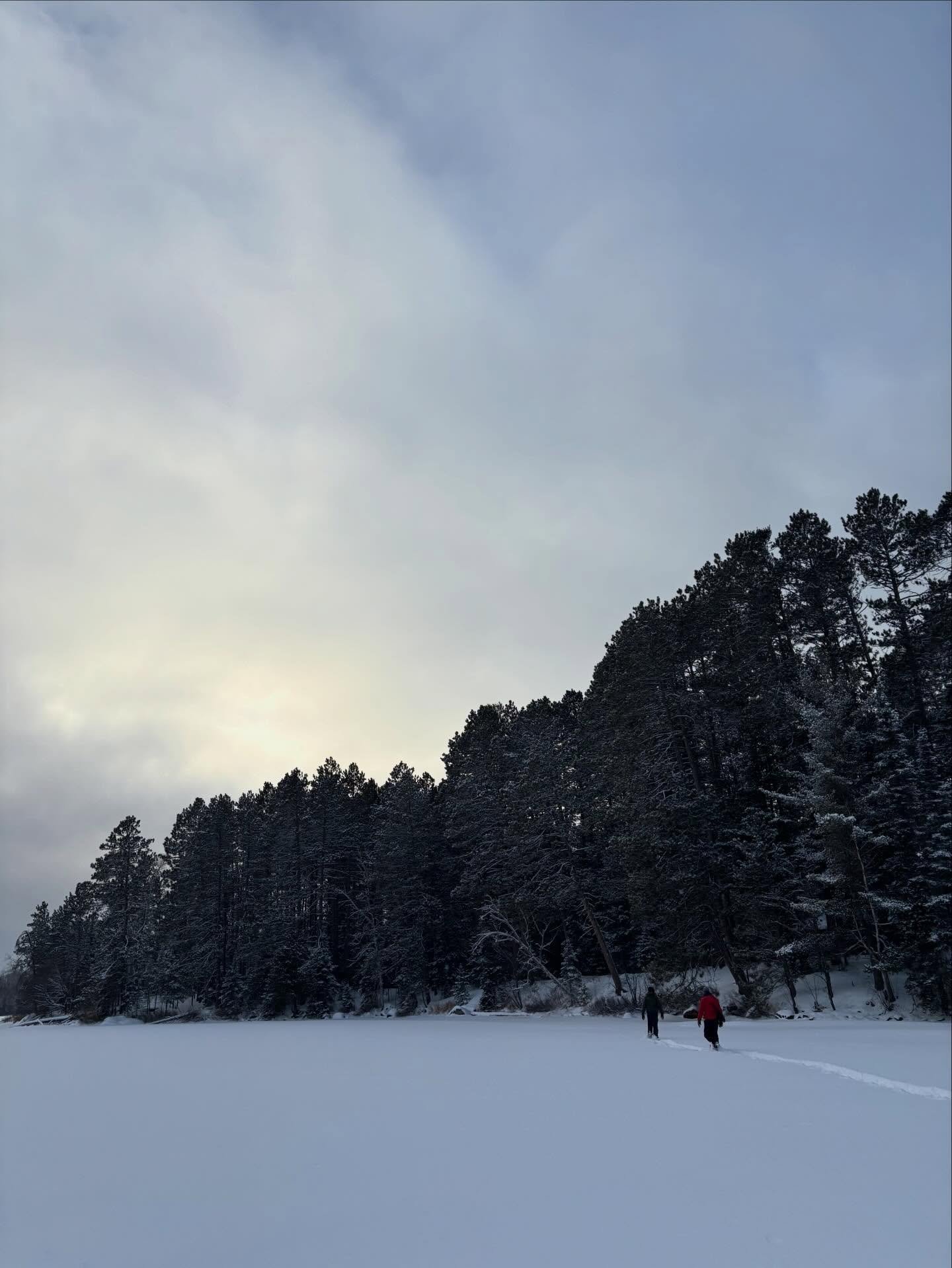 Whispered self reminders: Take your grief to nature. Engage with the elements. Sink into the deep cold quiet of winter. Remember you are a creature. Seek inner and outer spaciousness. There is no other. Resting is not quitting. Each exhale is a tiny 