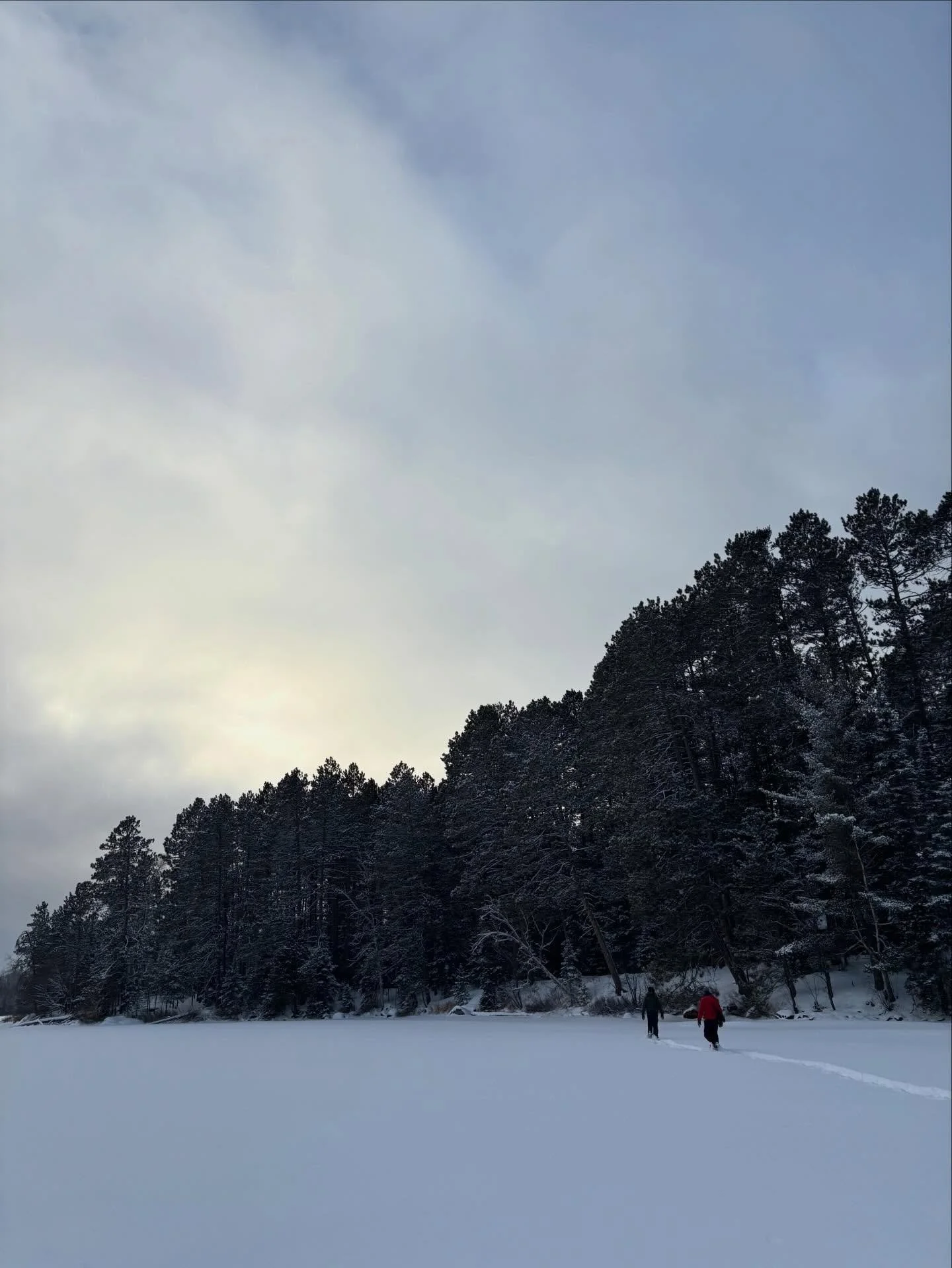 Whispered self reminders: Take your grief to nature. Engage with the elements. Sink into the deep cold quiet of winter. Remember you are a creature. Seek inner and outer spaciousness. There is no other. Resting is not quitting. Each exhale is a tiny 