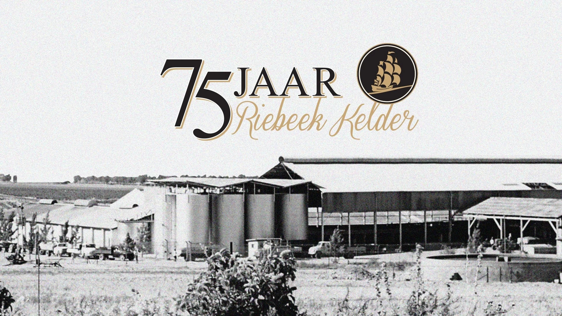 RC-75-Years.jpg