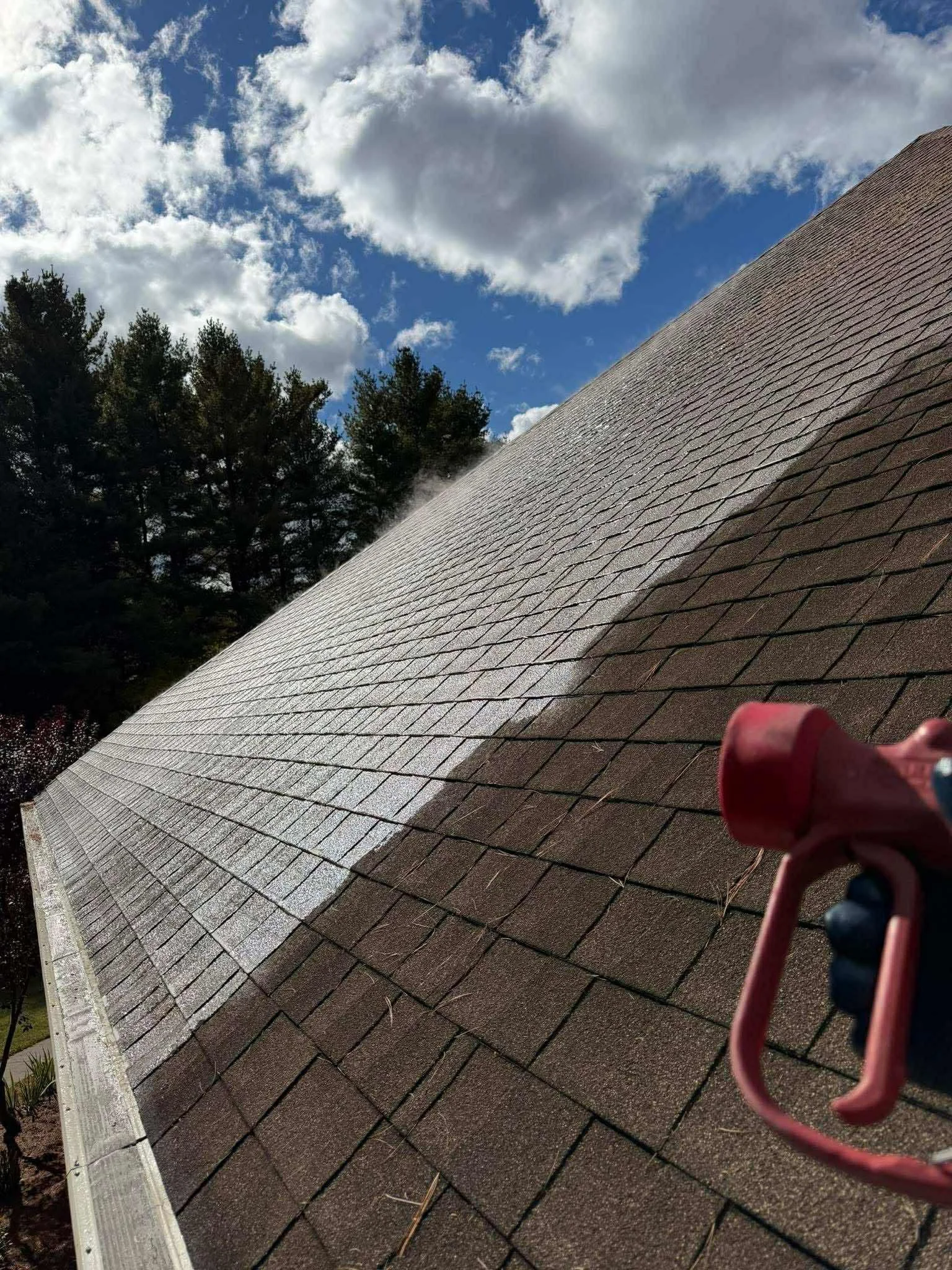 Applying chemical solution to roof in Harrisville, Michigan removing black streaks.