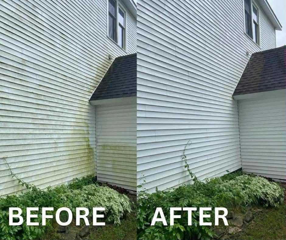 Home Exterior Soft Wash on Vinyl Siding