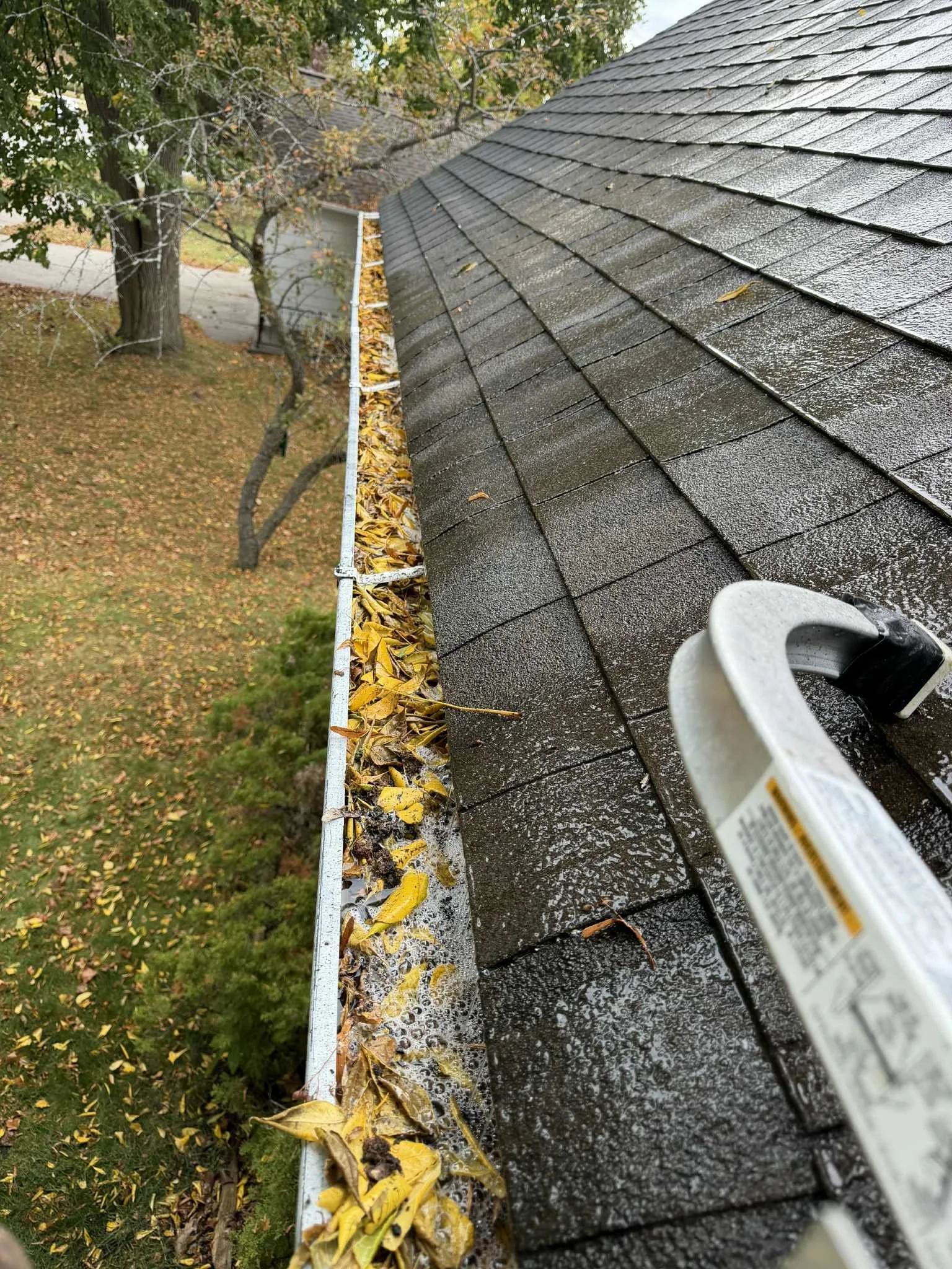 Leaves removed and blown out from gutters in Presque Isle, Michigan