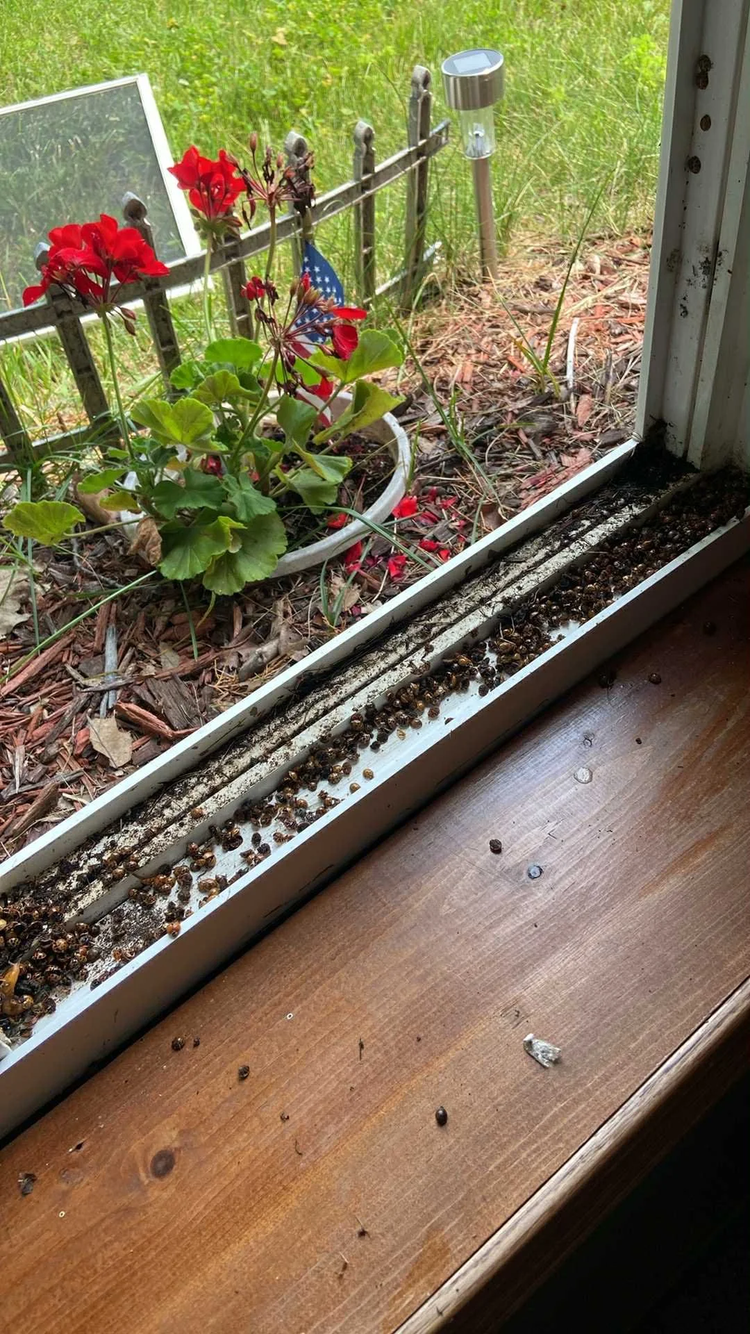 Bug build up in the interior tracks can become overwhelming - let us help!