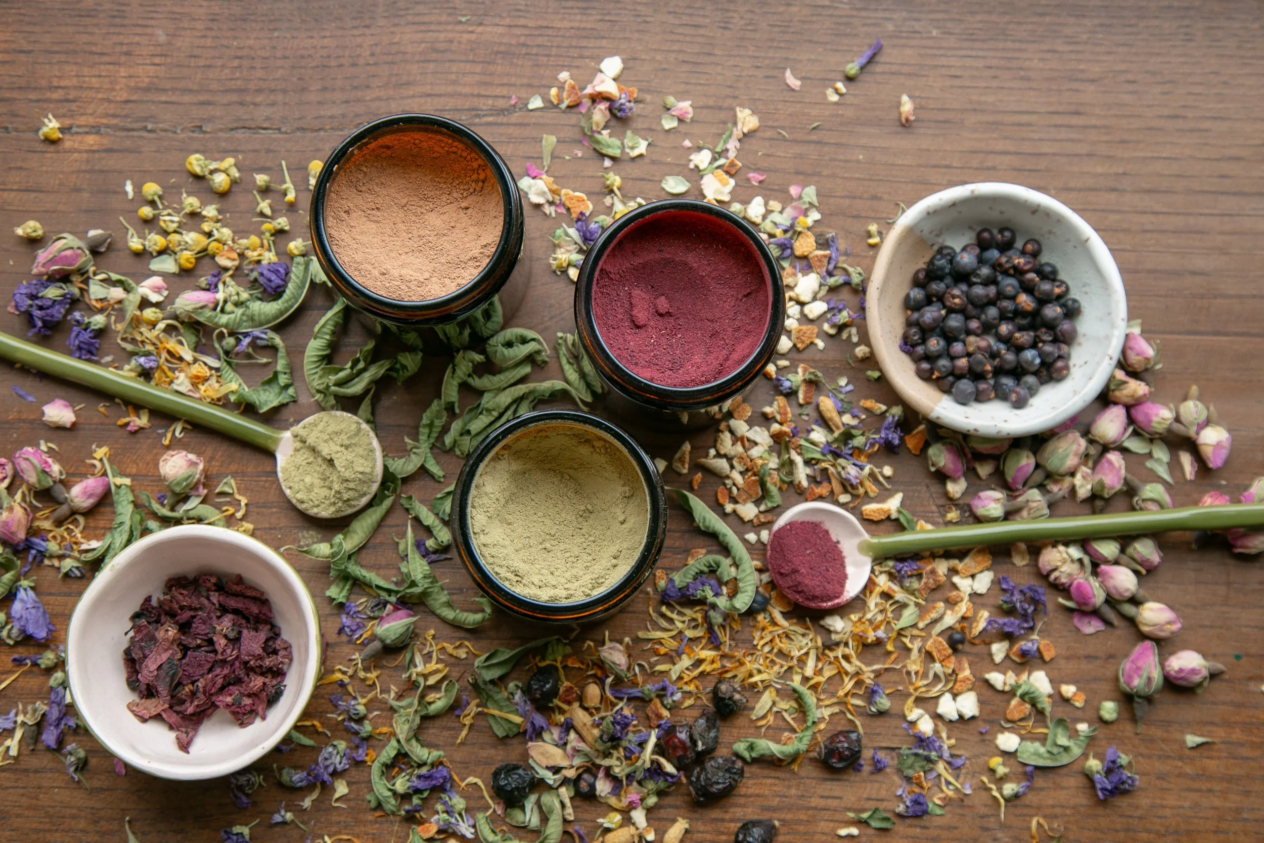 Atelier de plantes médicinales “La détox du printemps”