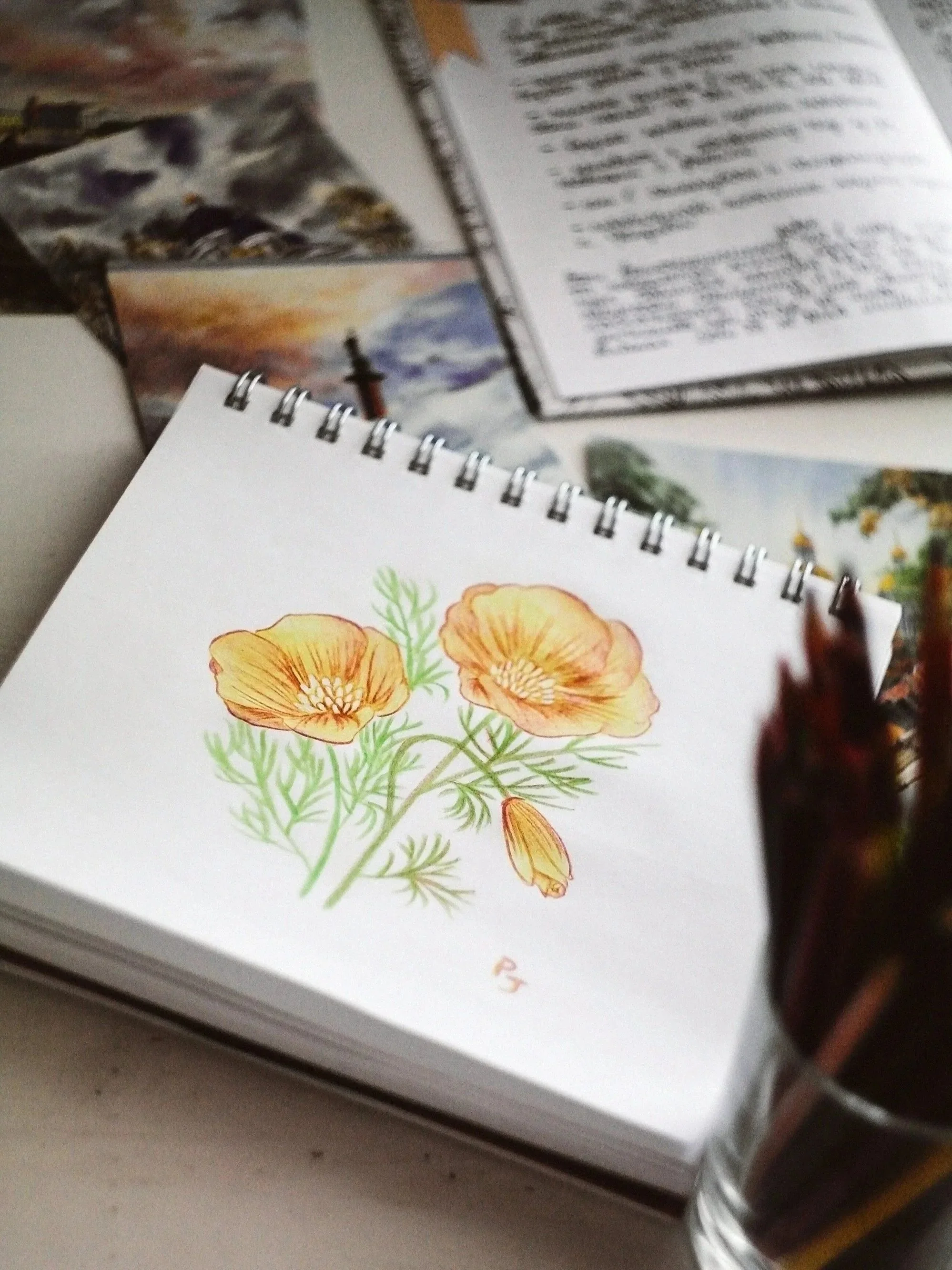 Atelier de dessin botanique enfants