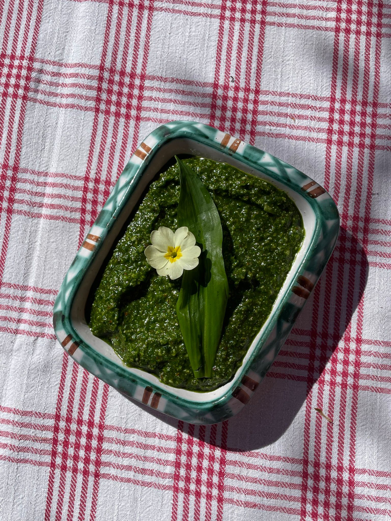 Atelier Ail des ours: cuisine sauvage & tisanes