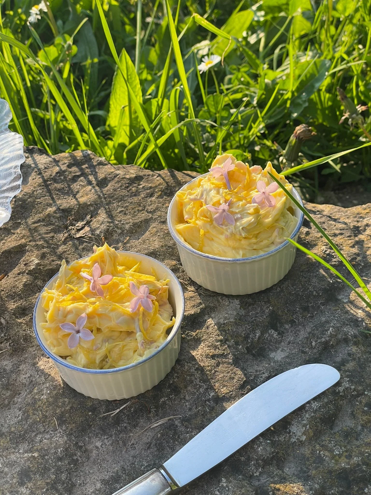 Atelier Cuisine Sauvage de Printemps & Brunch