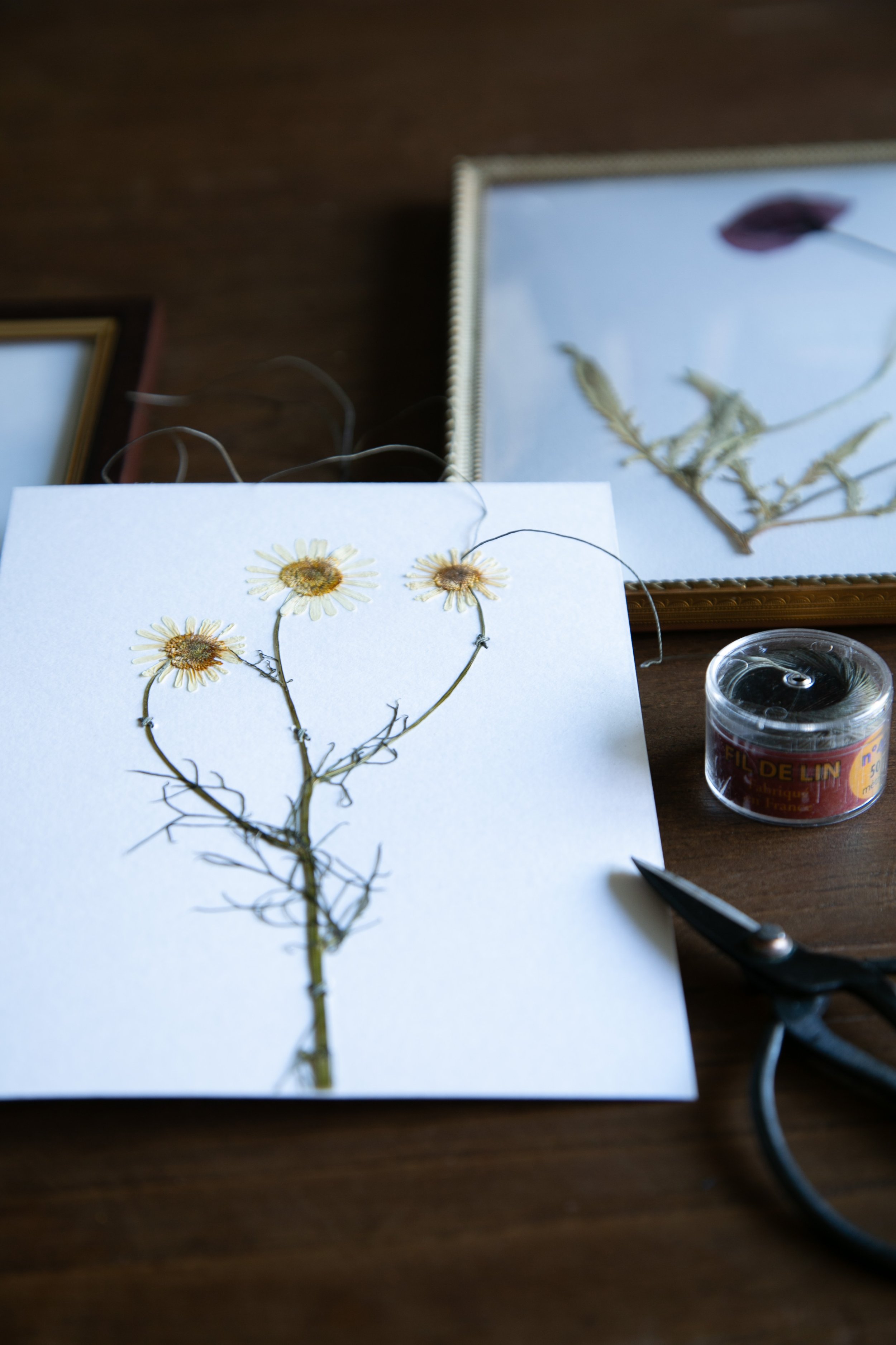 Workshop pressatura di fiori