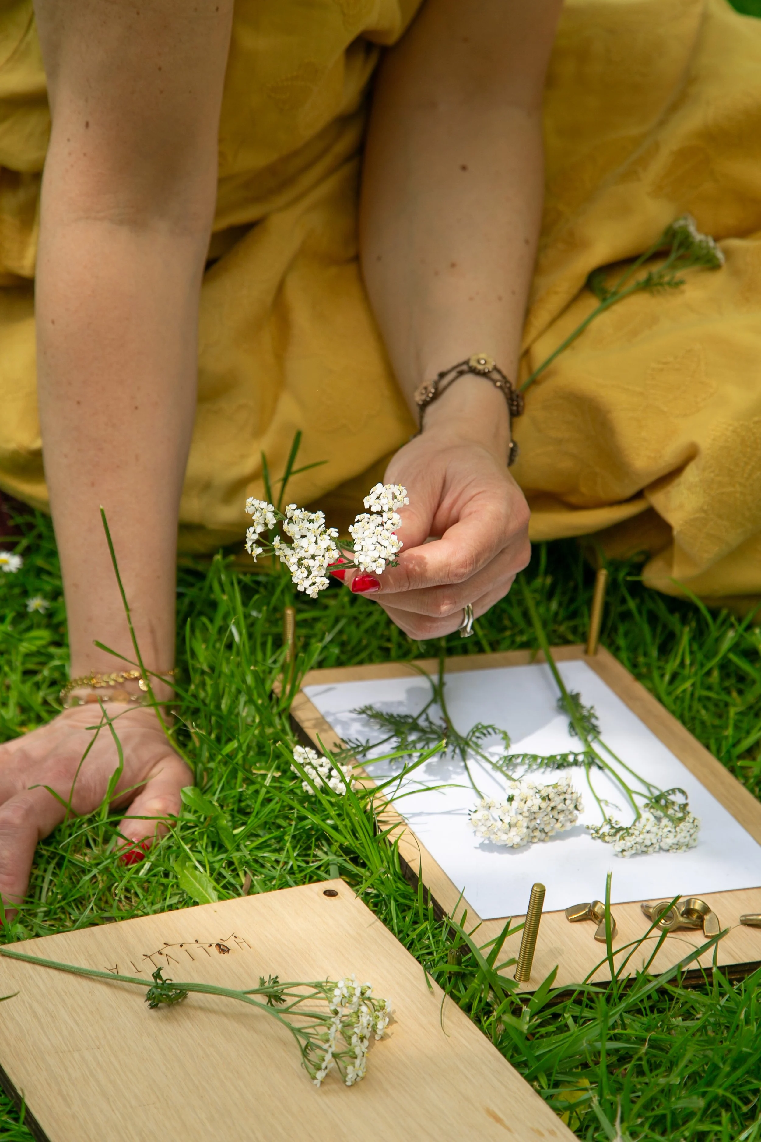 Atelier pressage de fleurs