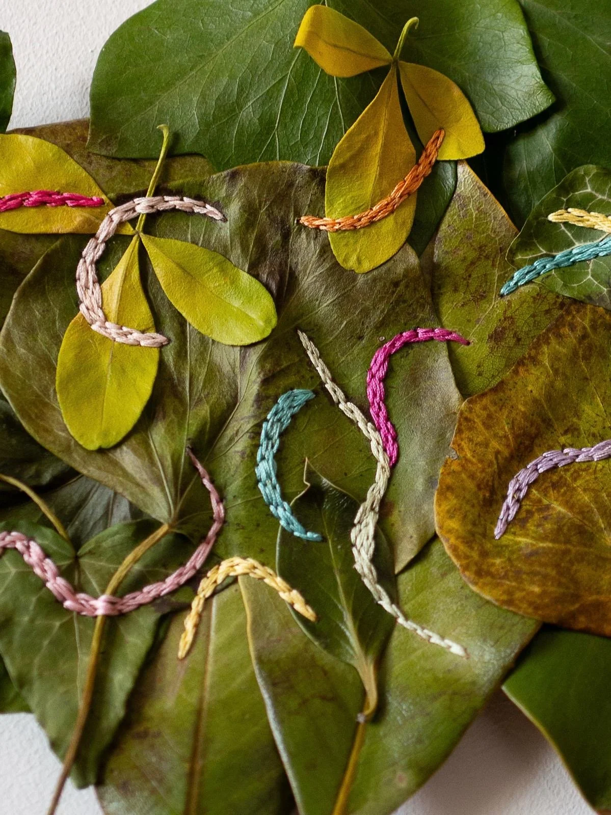Atelier de broderie végétale - adultes