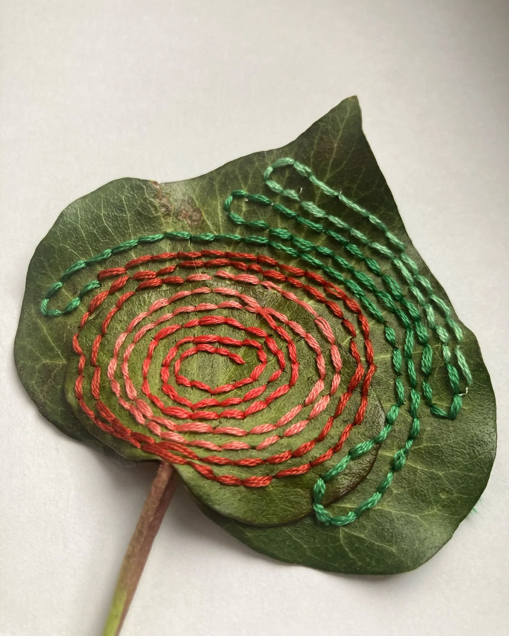 Atelier de broderie végétale _ enfants