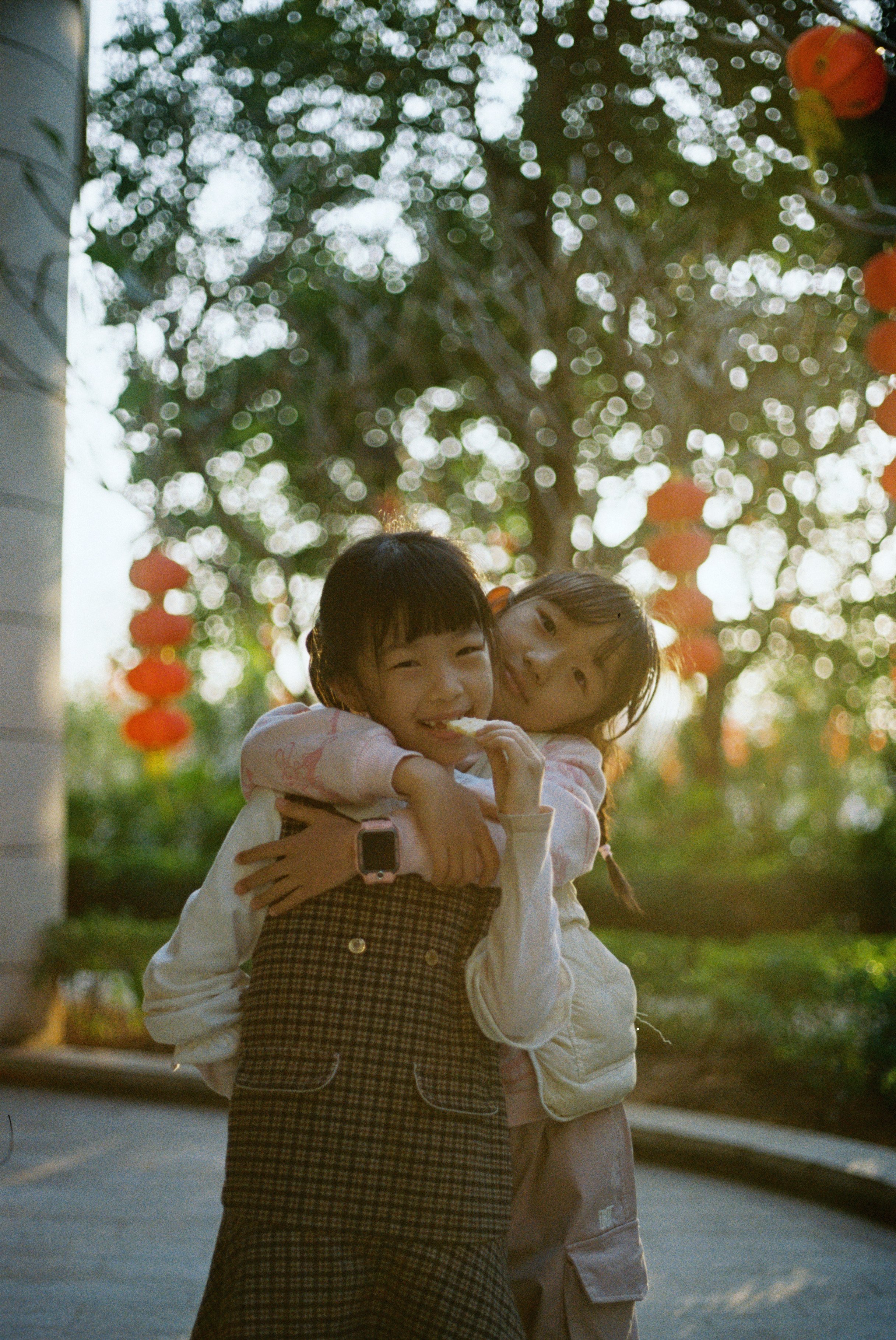 C_ND000018.jpg