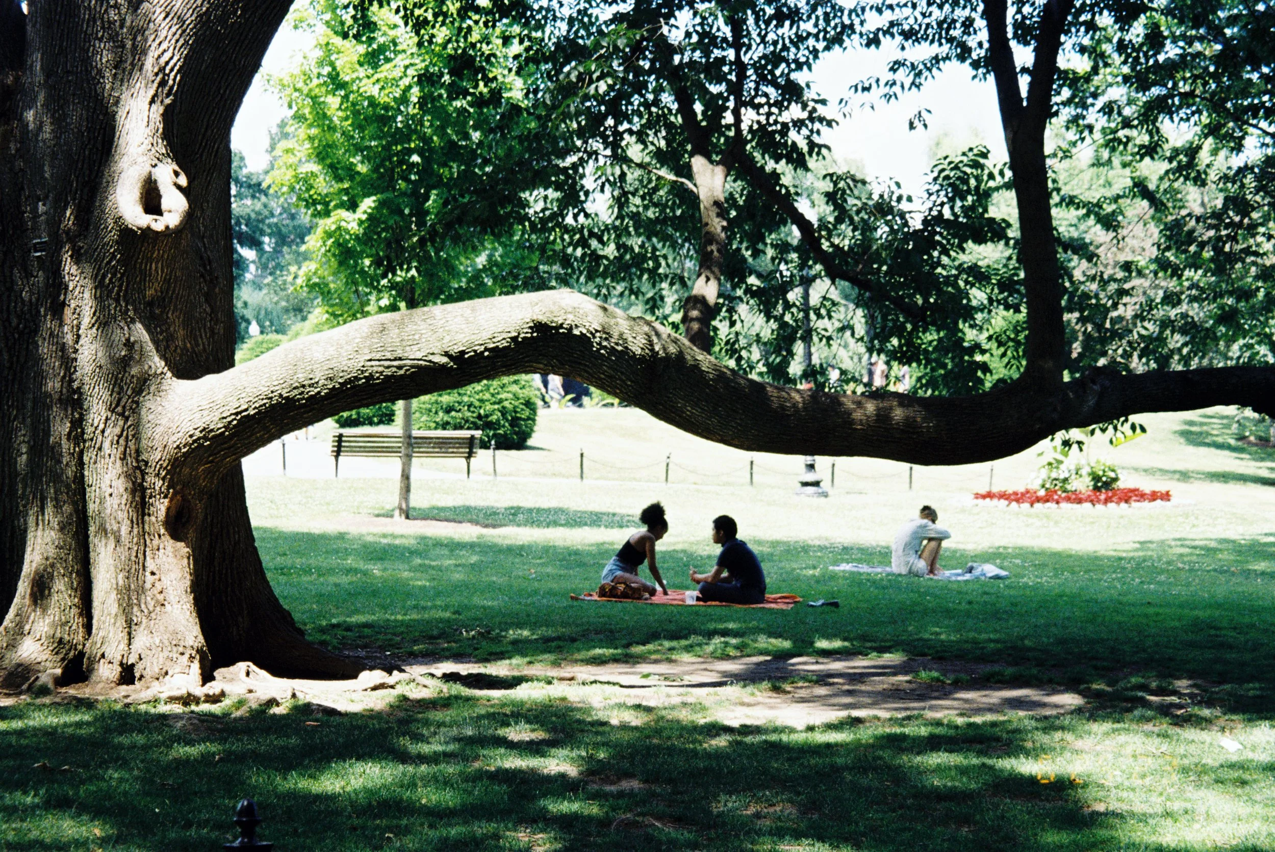 C000024 2.jpg