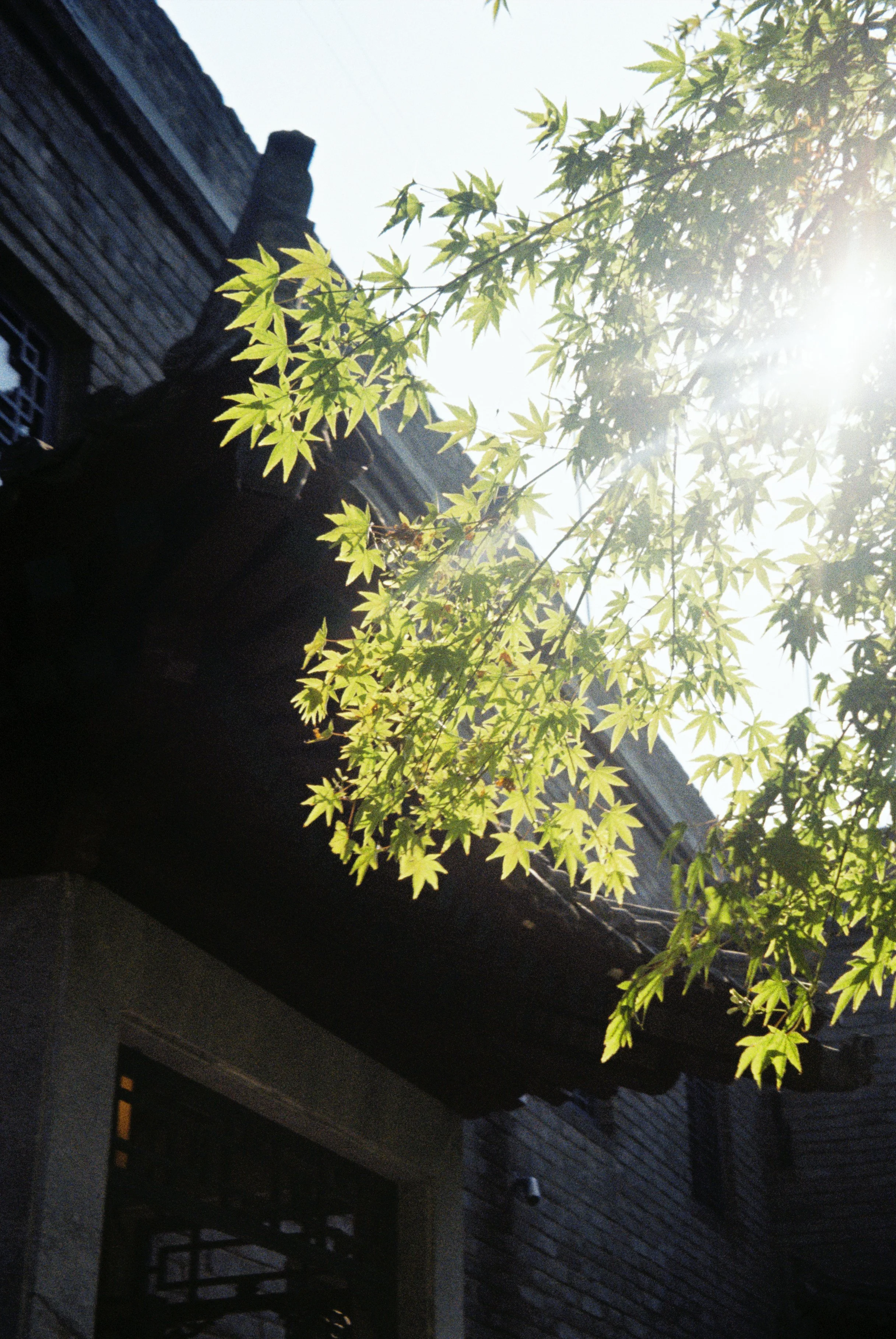 C000012.jpg